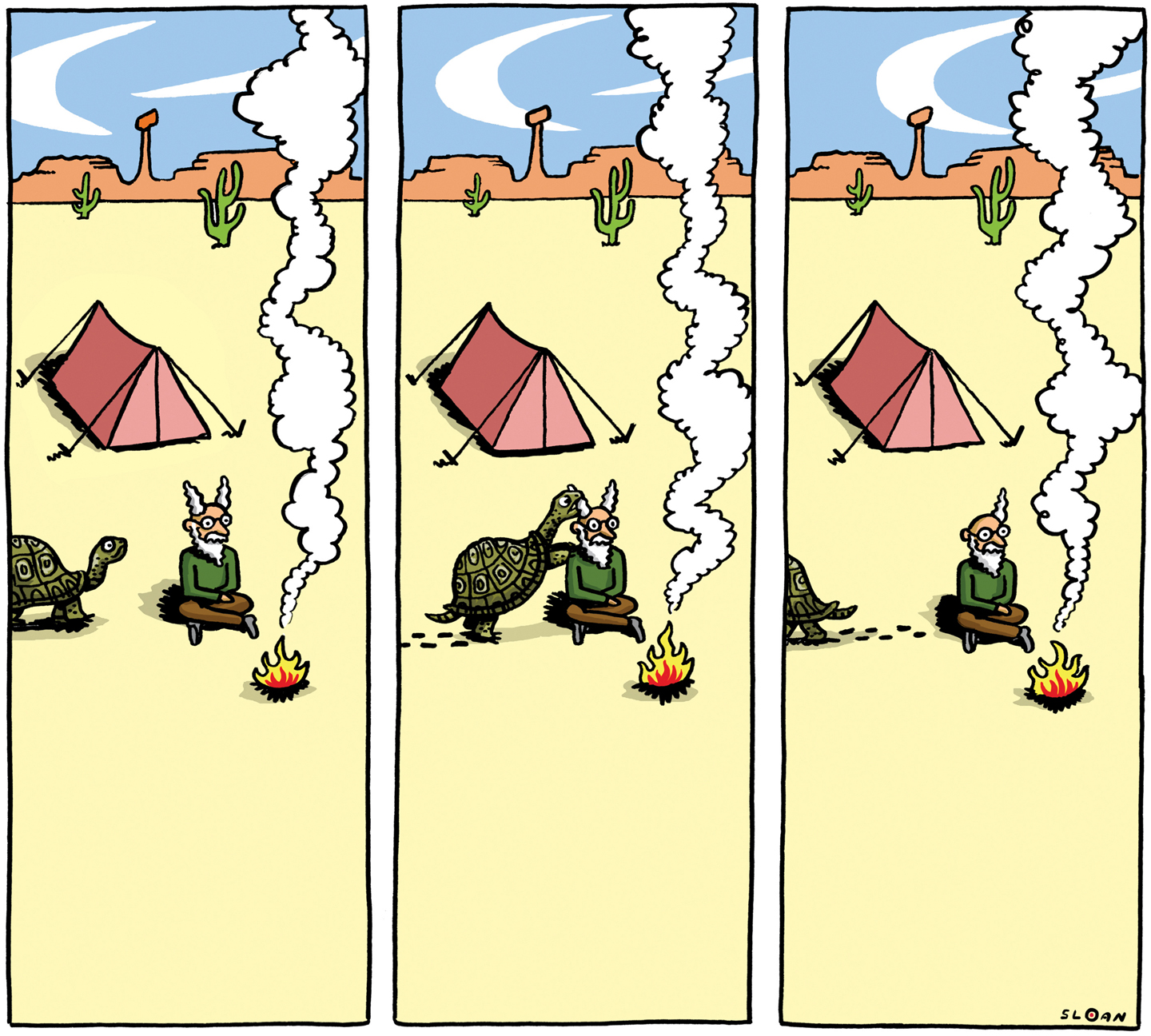The tortoise and the hair.