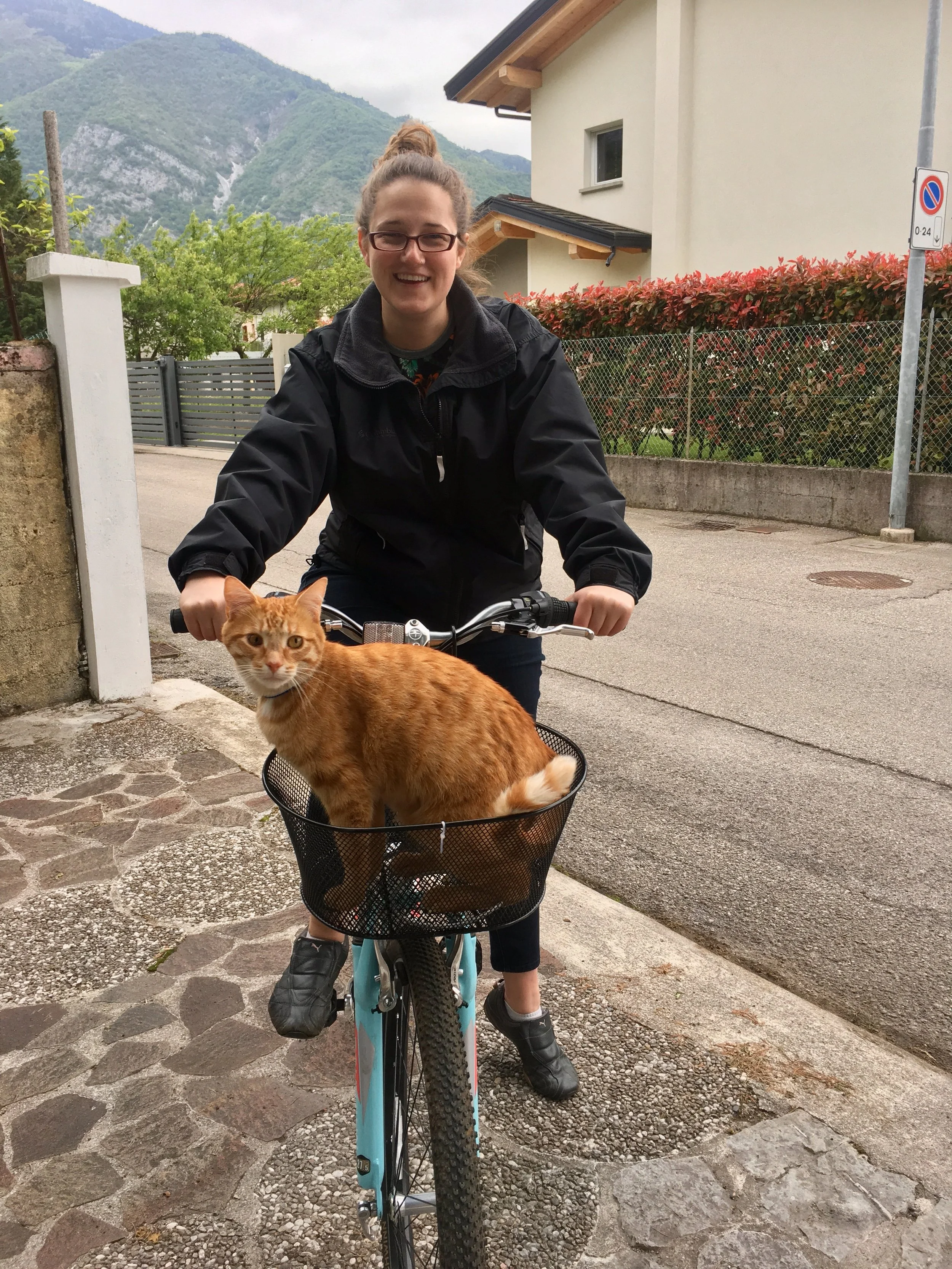 This cat is a basket case and a terrible traveling companion. 