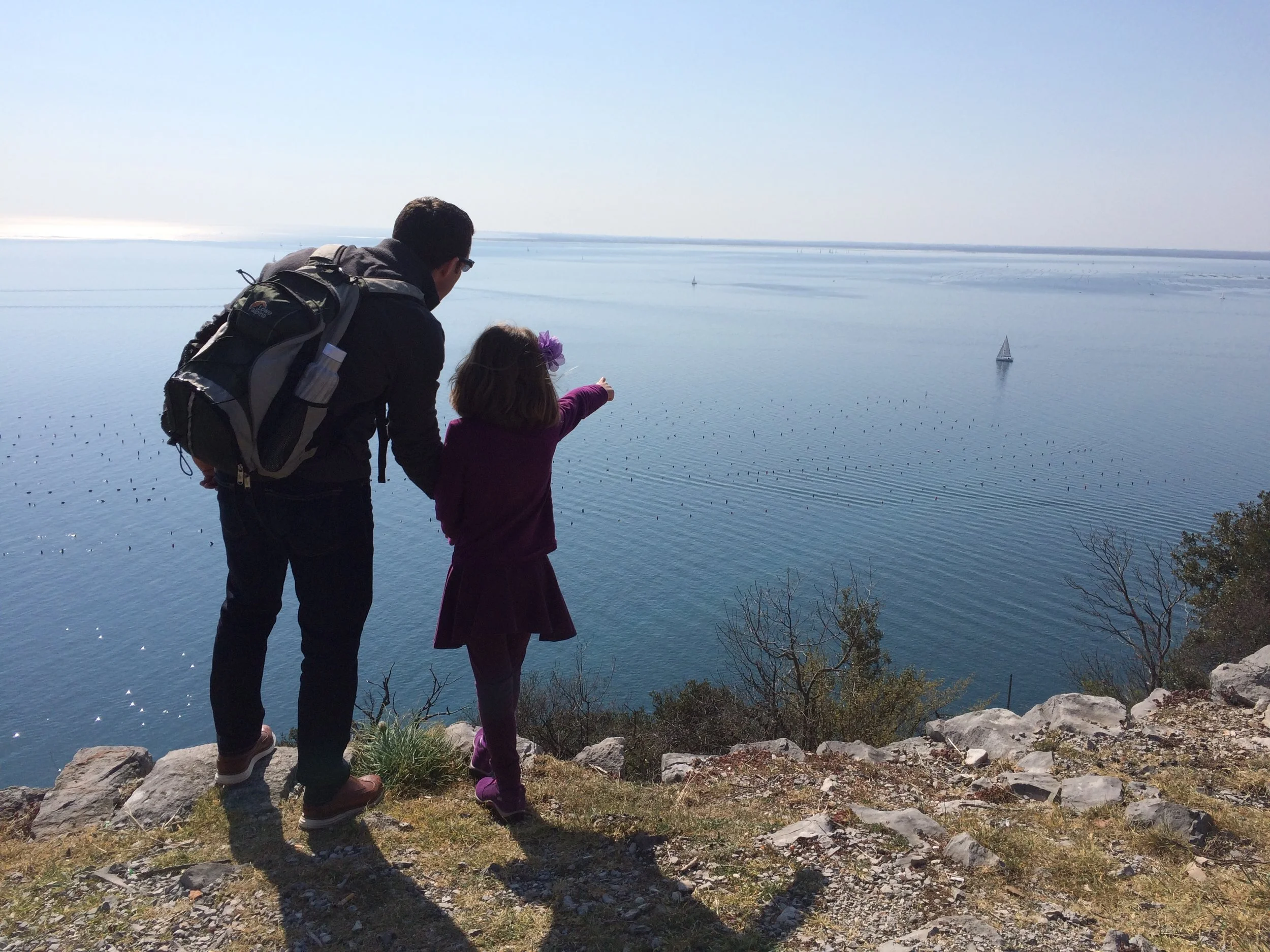 2017-03-25 14.16.48.jpg