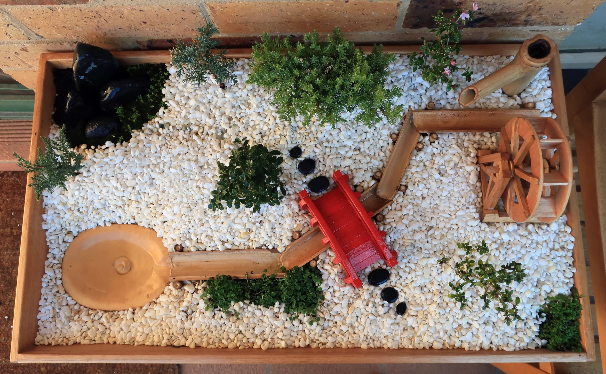 Balcony Bonsai - top view.jpg
