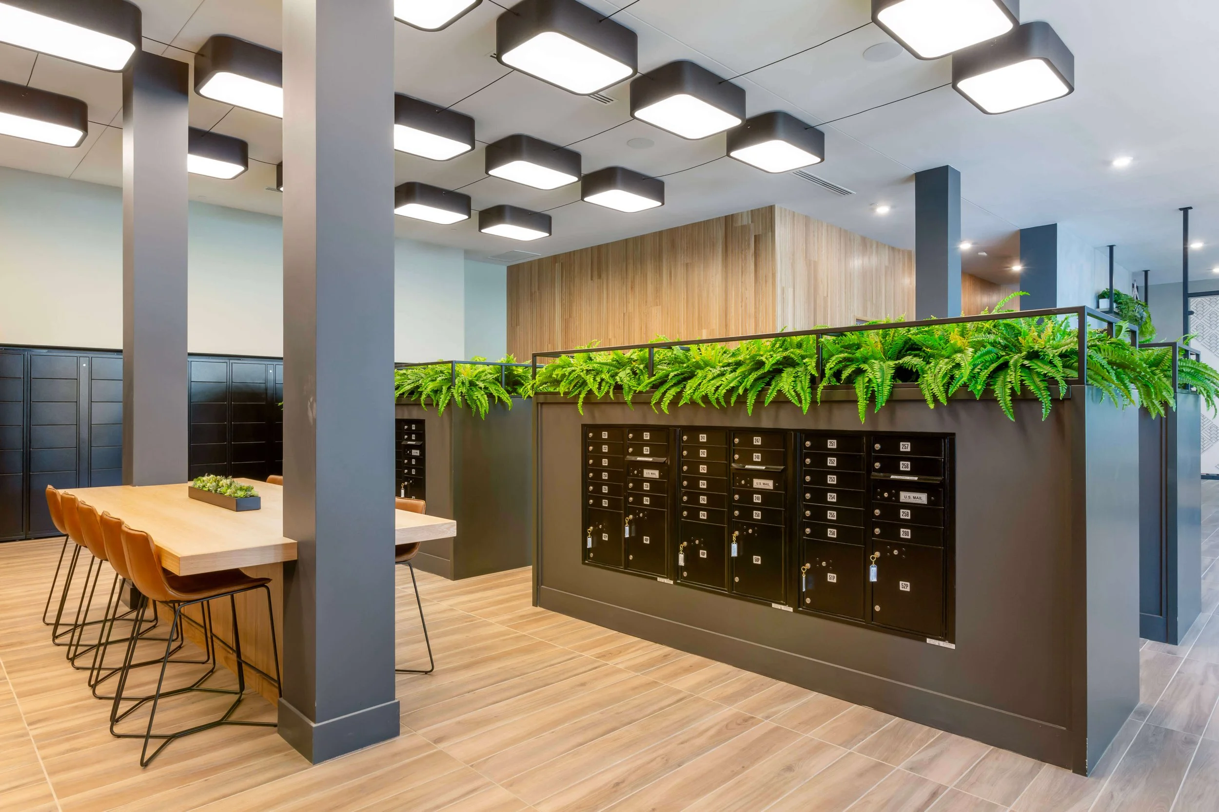 cs3 (7)_batcheditor_fotor.jpg