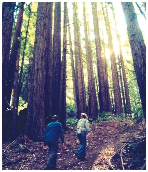 Outdoors_Hiking.jpg