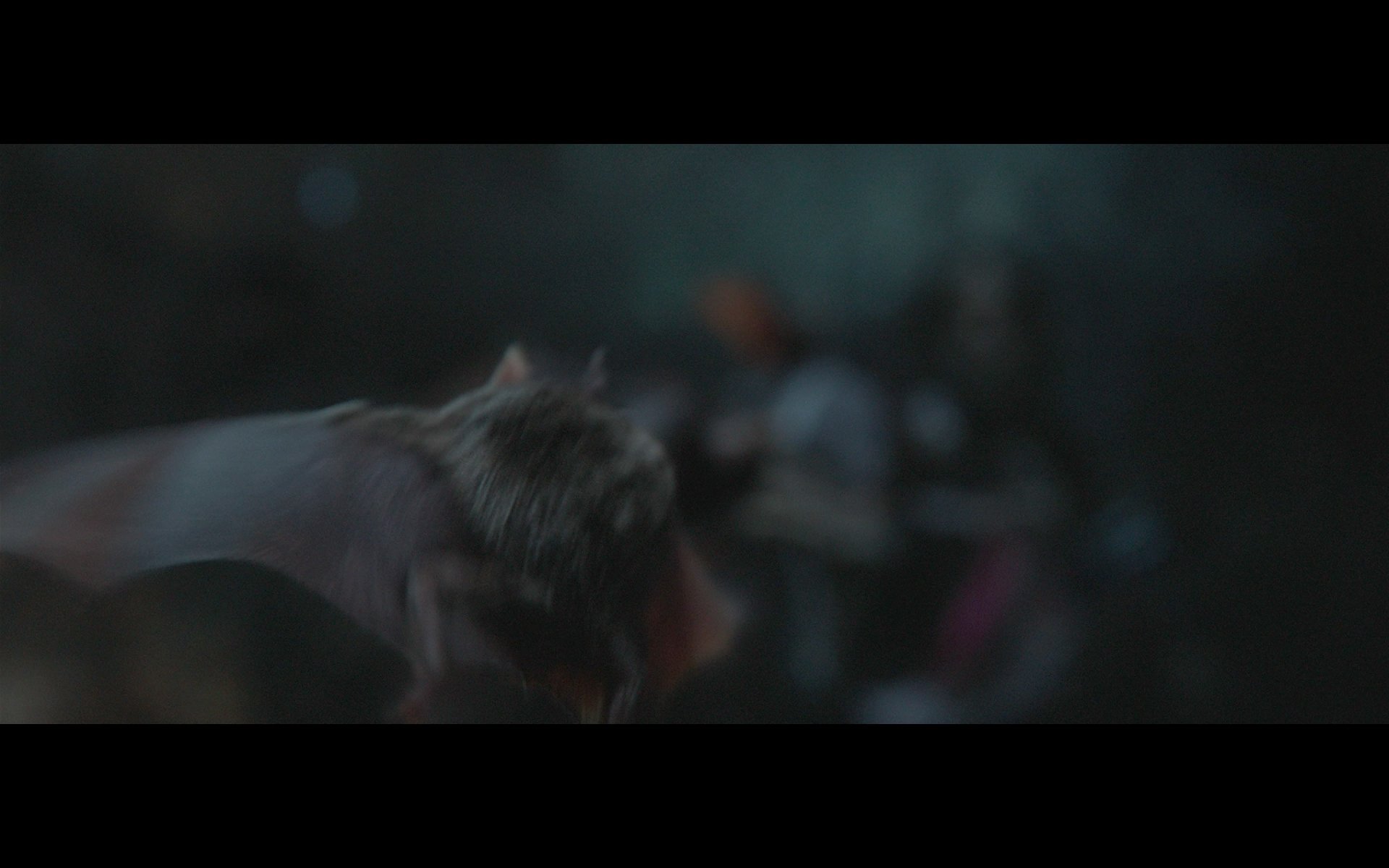 plasma_morbius_source.0035.jpg