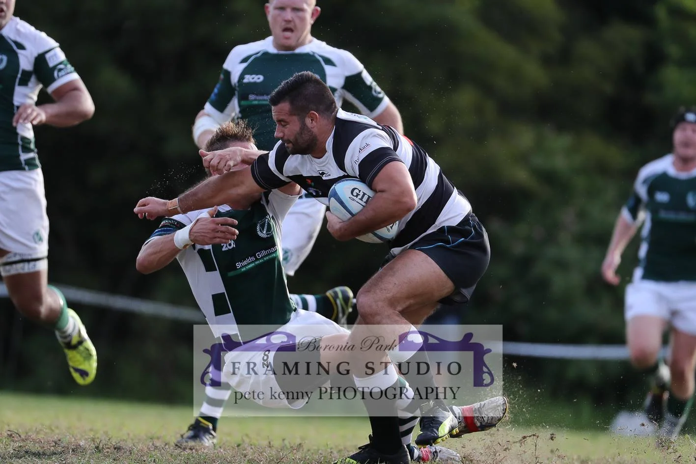 Round 8: Back to Boronia Day: Forest @ Boronia Park