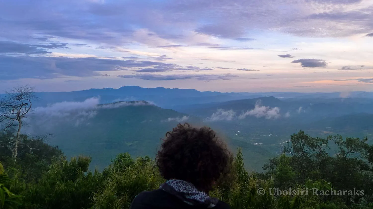 Person Looking at the Valley Below from Phu Ruea