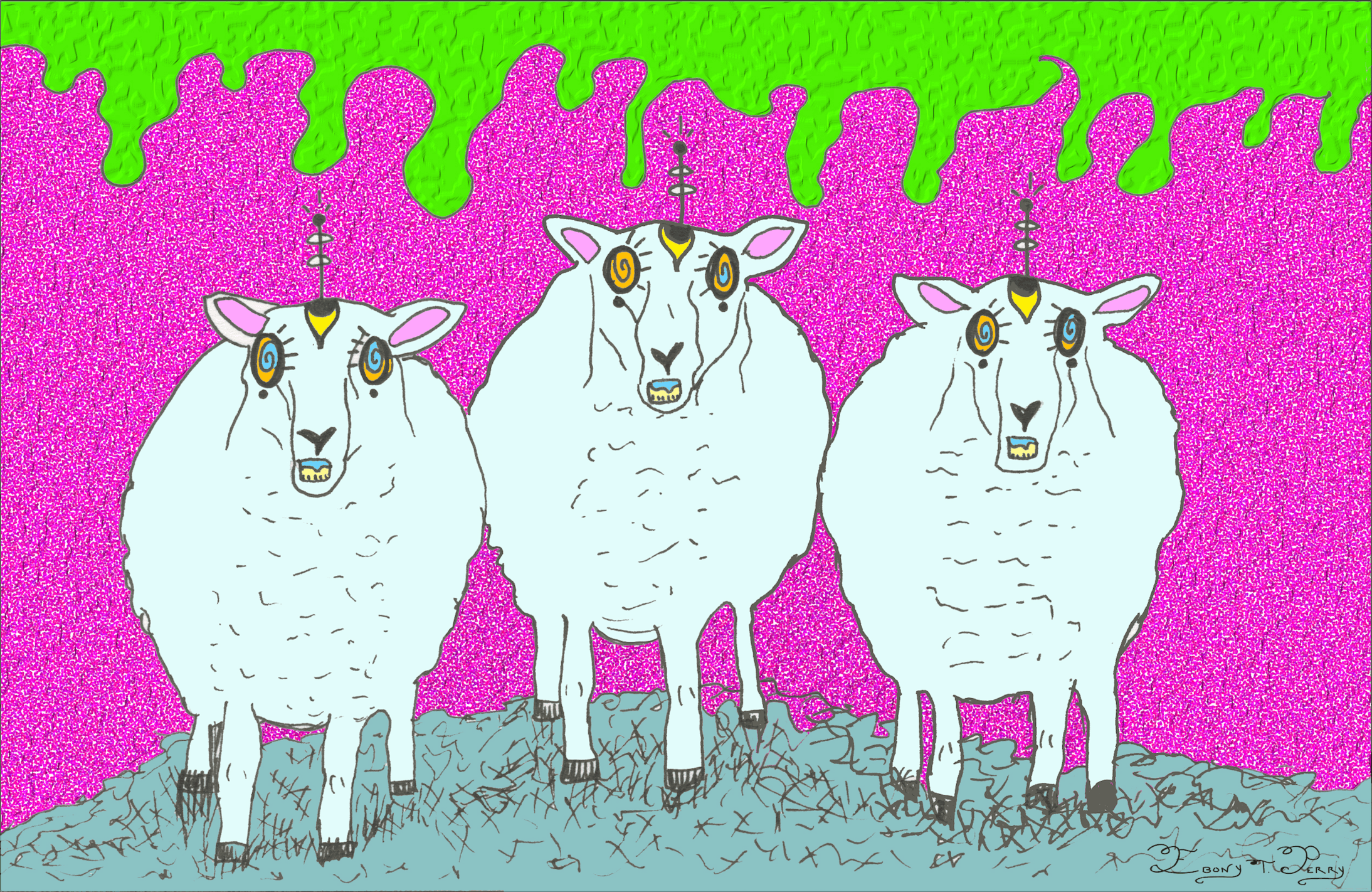 12_We the Sheep.png