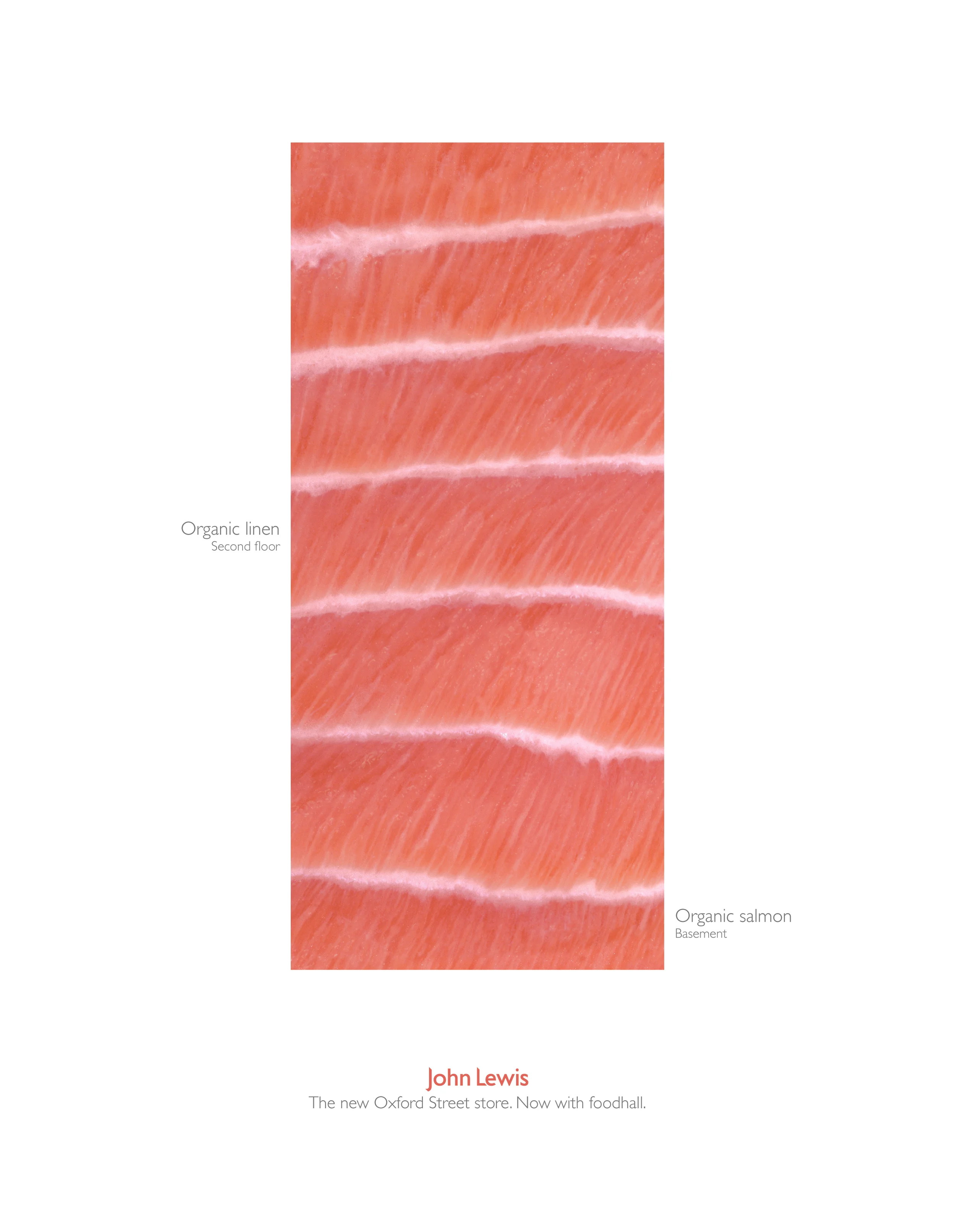 19002569_Salmon_338x262.jpg
