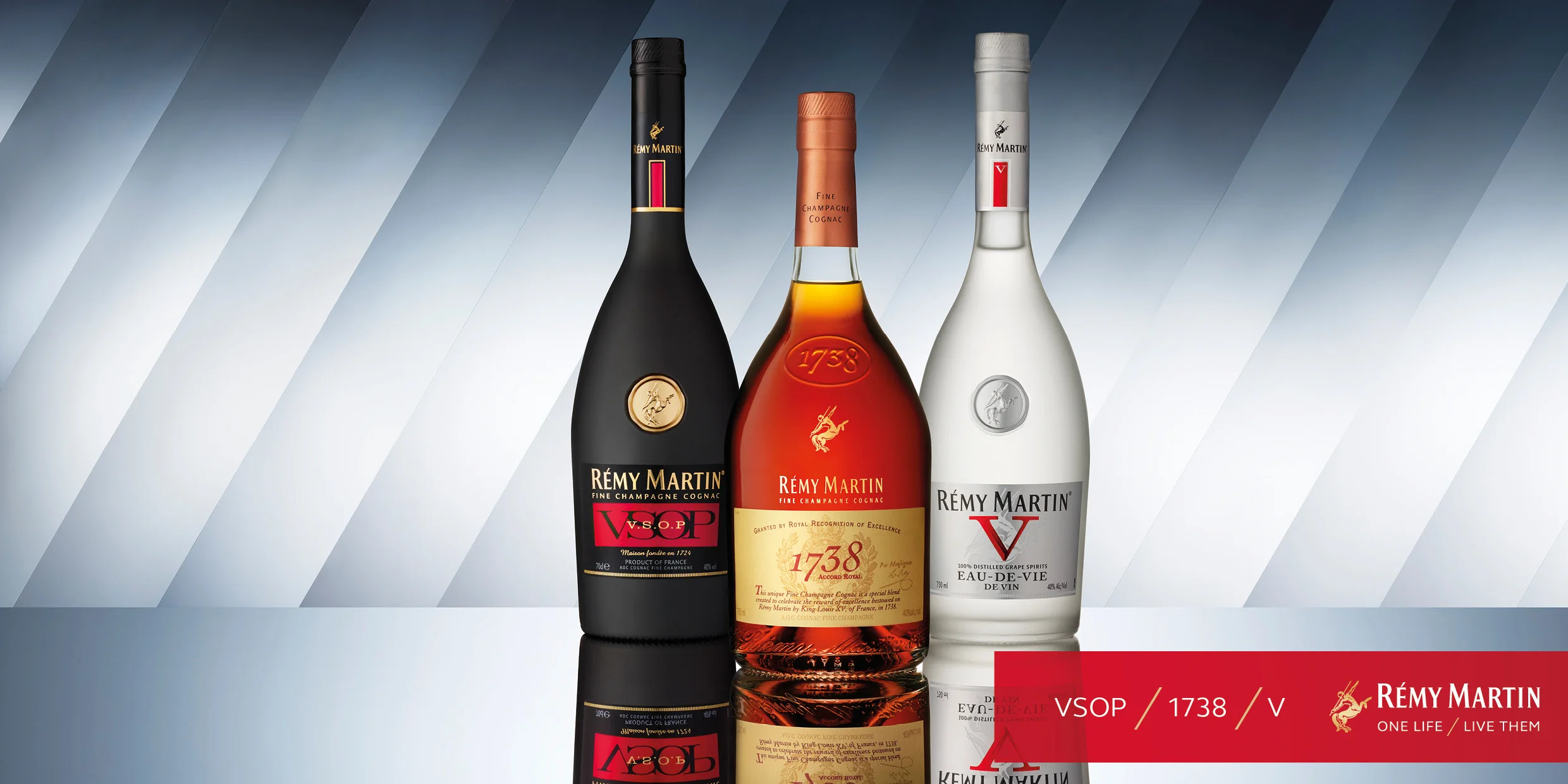 77764DL16e0605_3_Bottles_48s.jpg