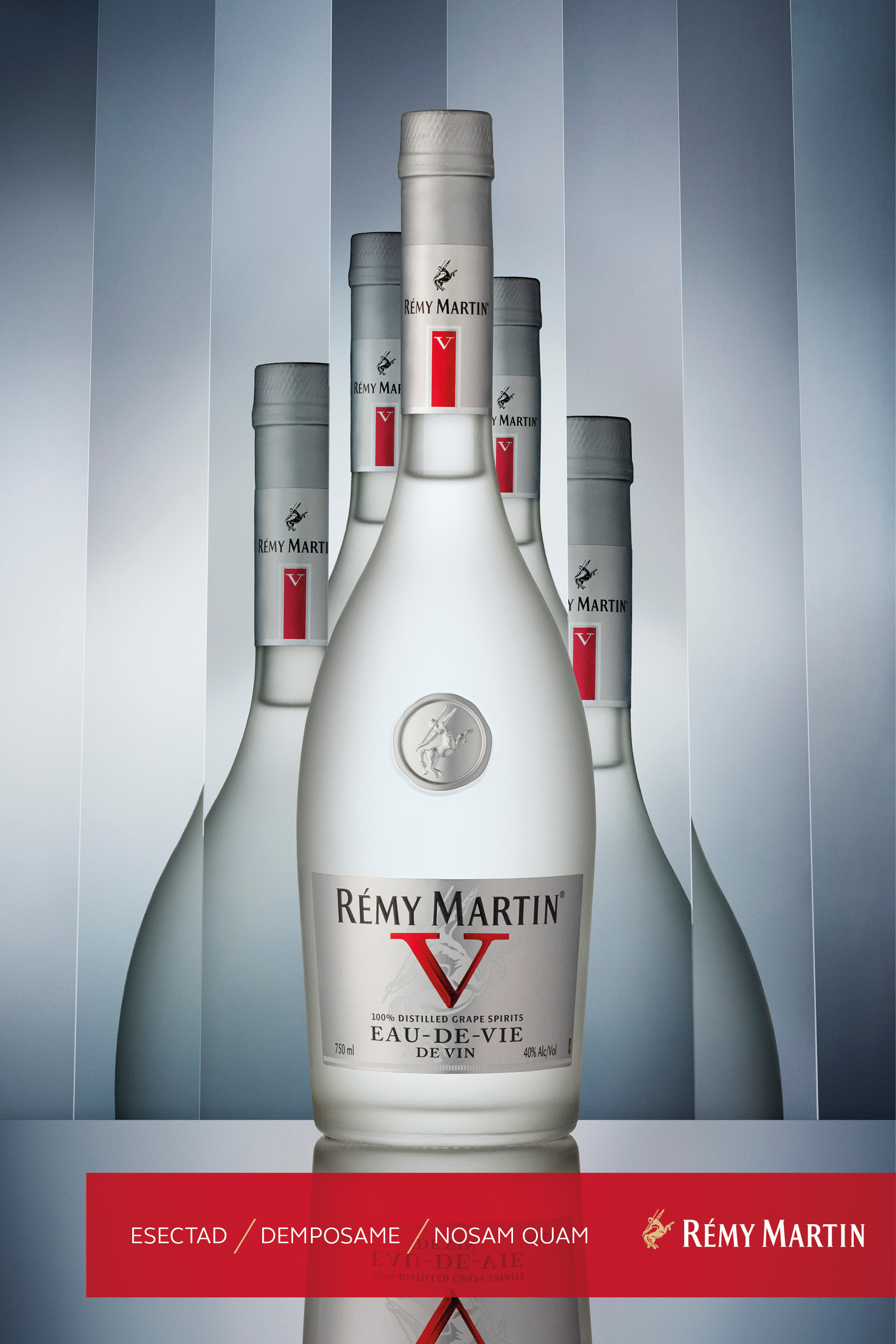 77764DL15i0605_Bottle_6s.jpg