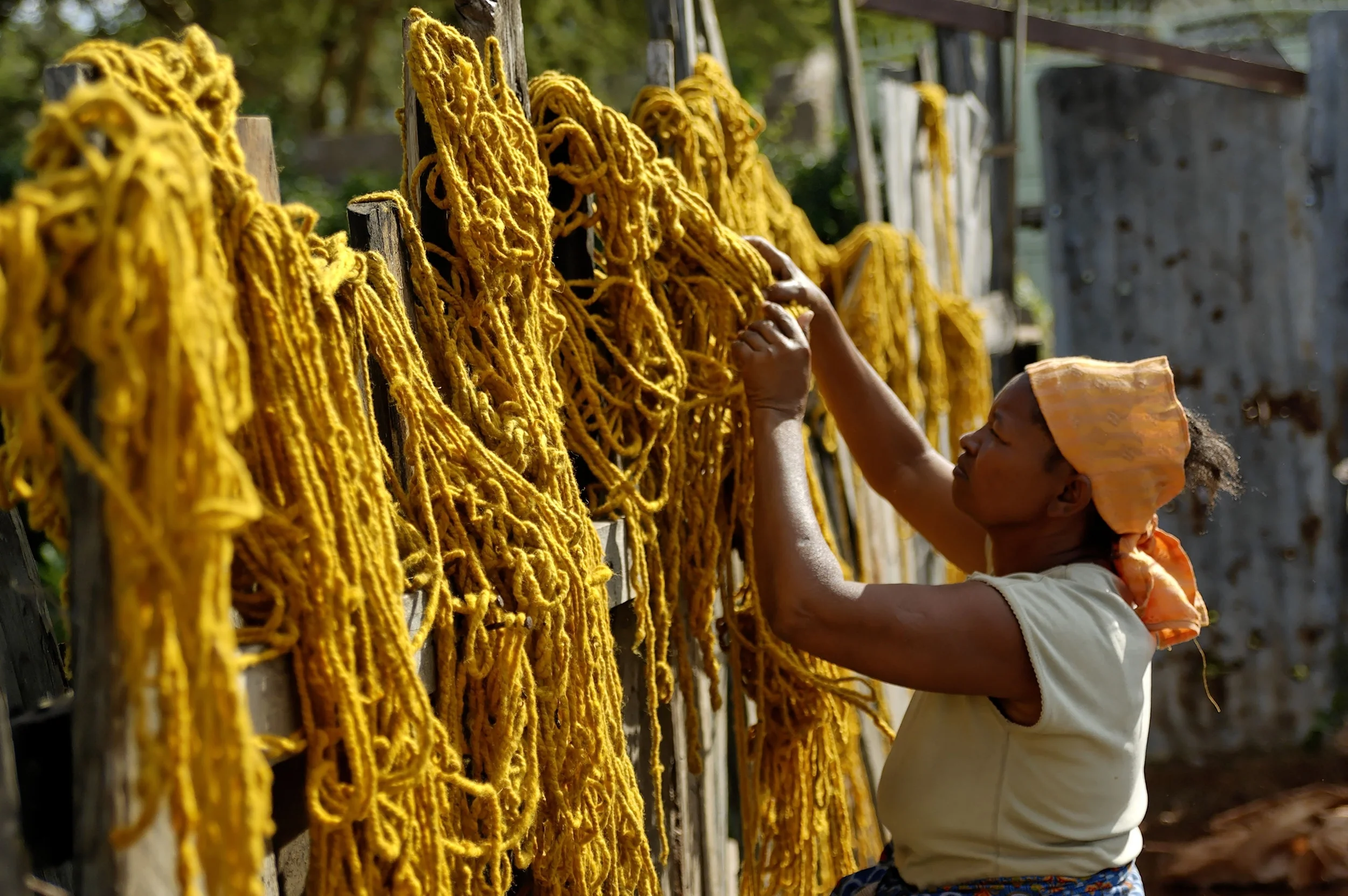 dying wool.john.g..JPG