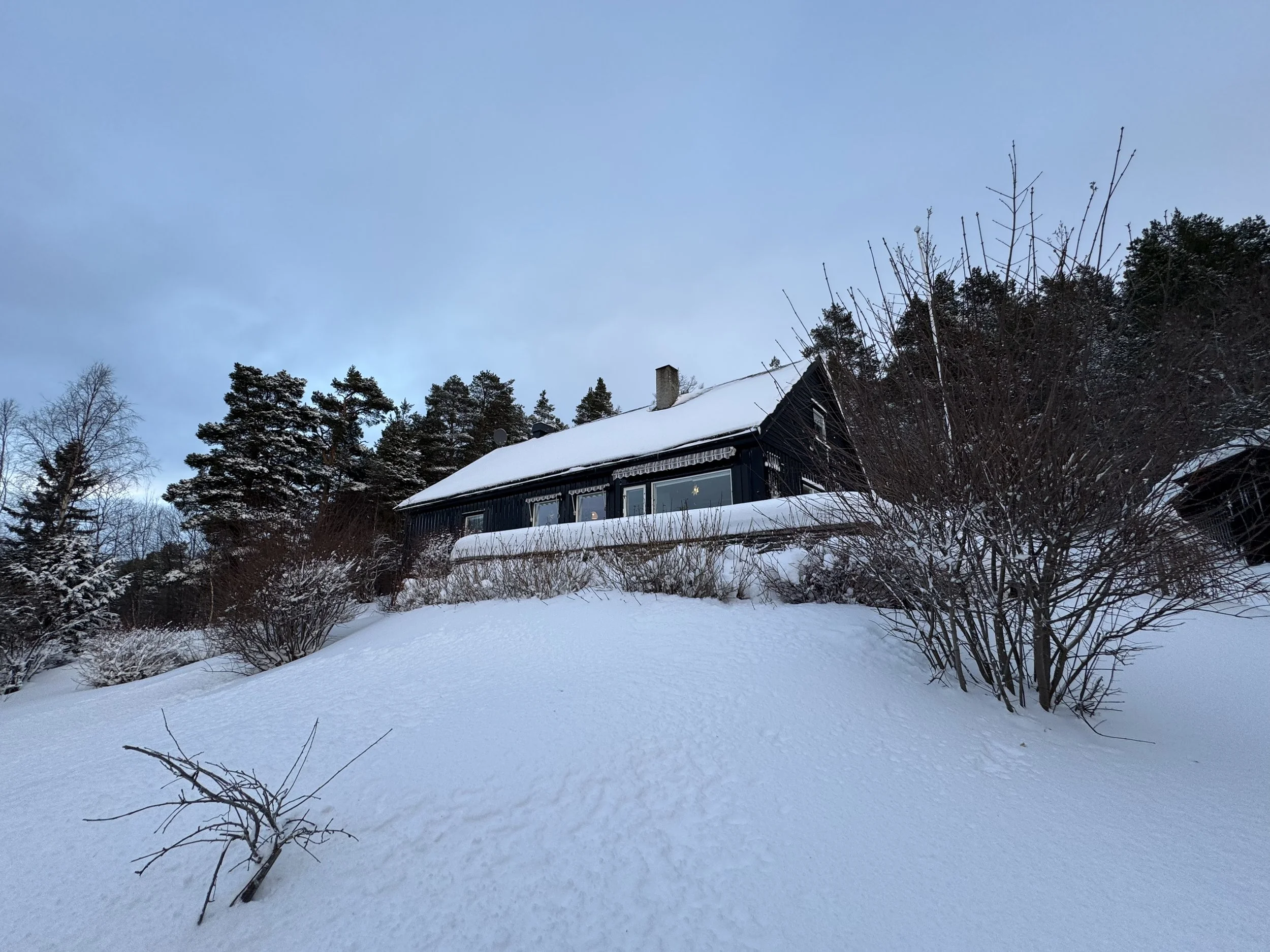 2024-12-20 14.08.56.jpg