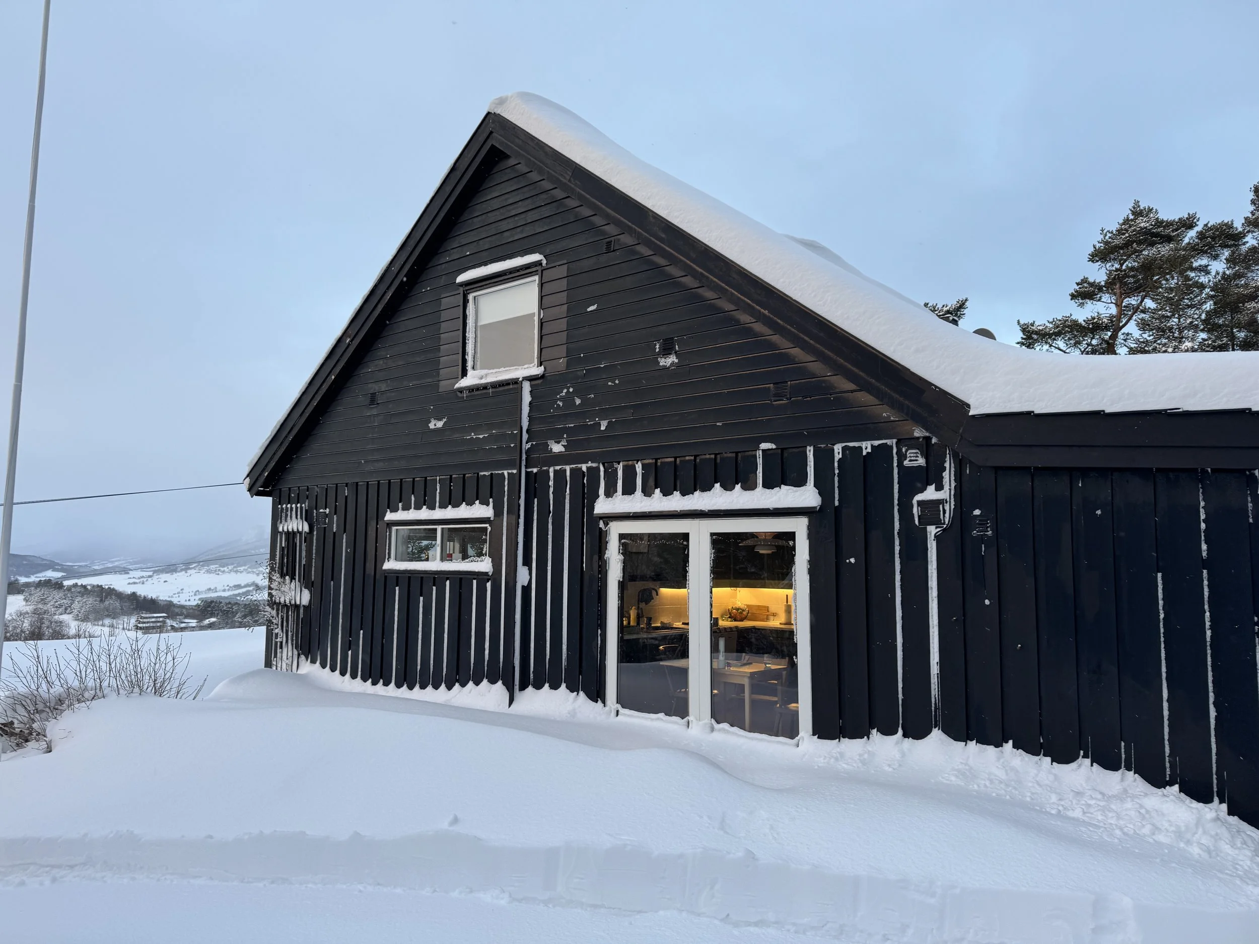 2024-12-20 14.08.00.jpg