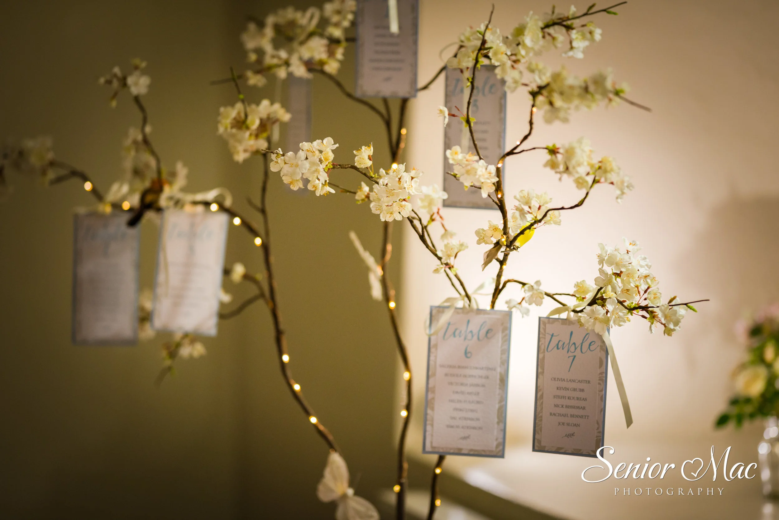Blossom tree, available to hire