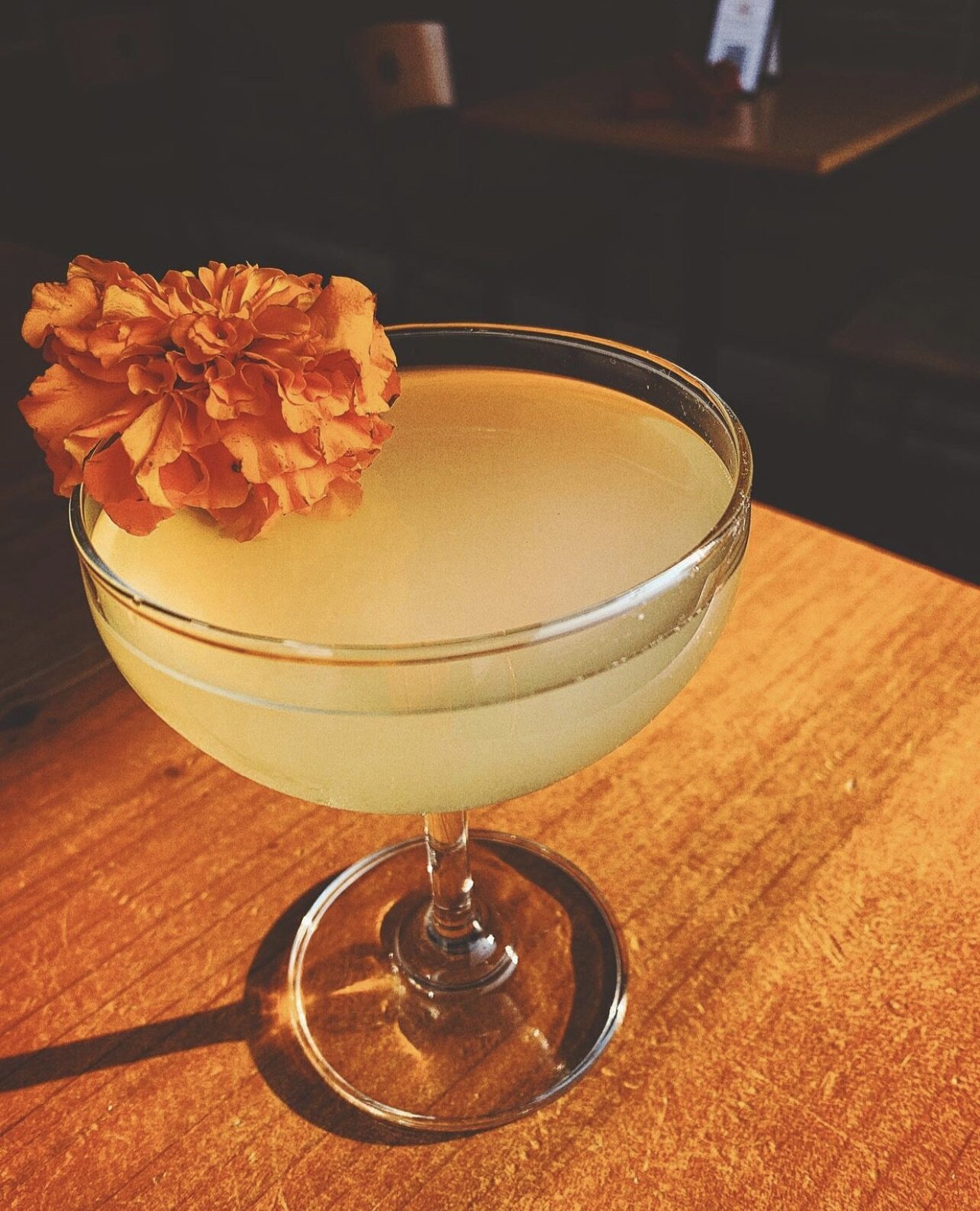 Best Thai Restaurant Sustainable Thai Food Restaurant in Denver