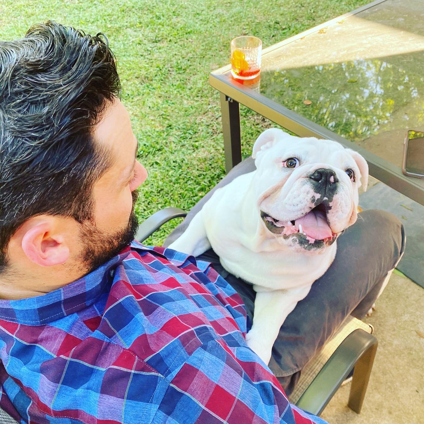 Happy Father&rsquo;s Day to all the dads and dog dads out there. Love, Brisket.