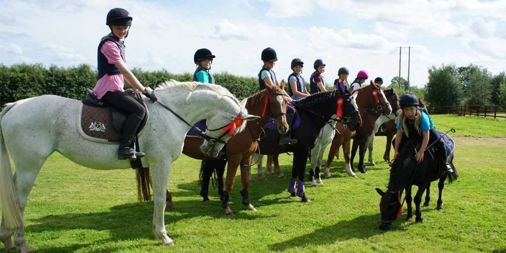 Pony camp.jpg