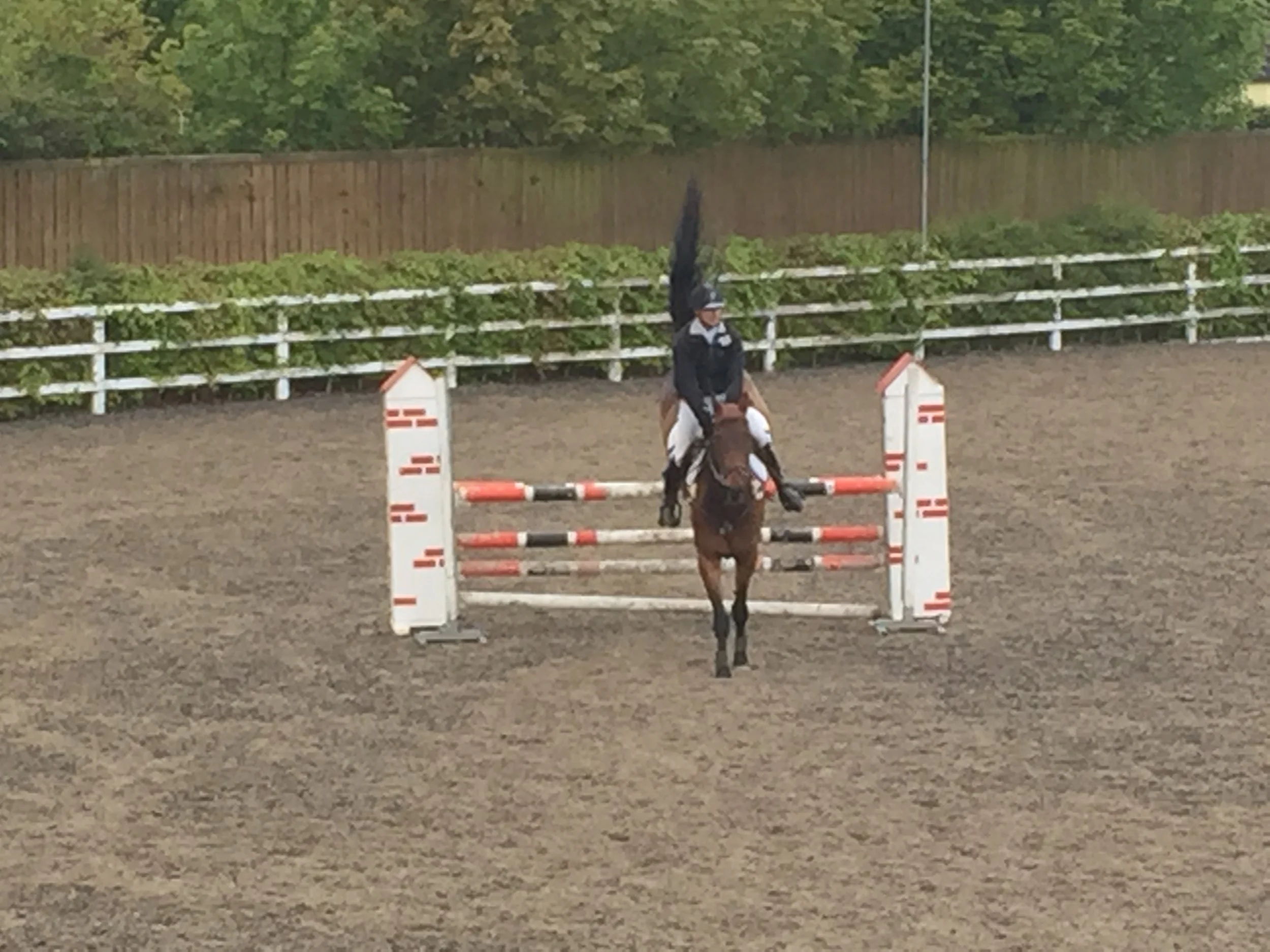 Rory & DBS Anchorman top the results at Killossery