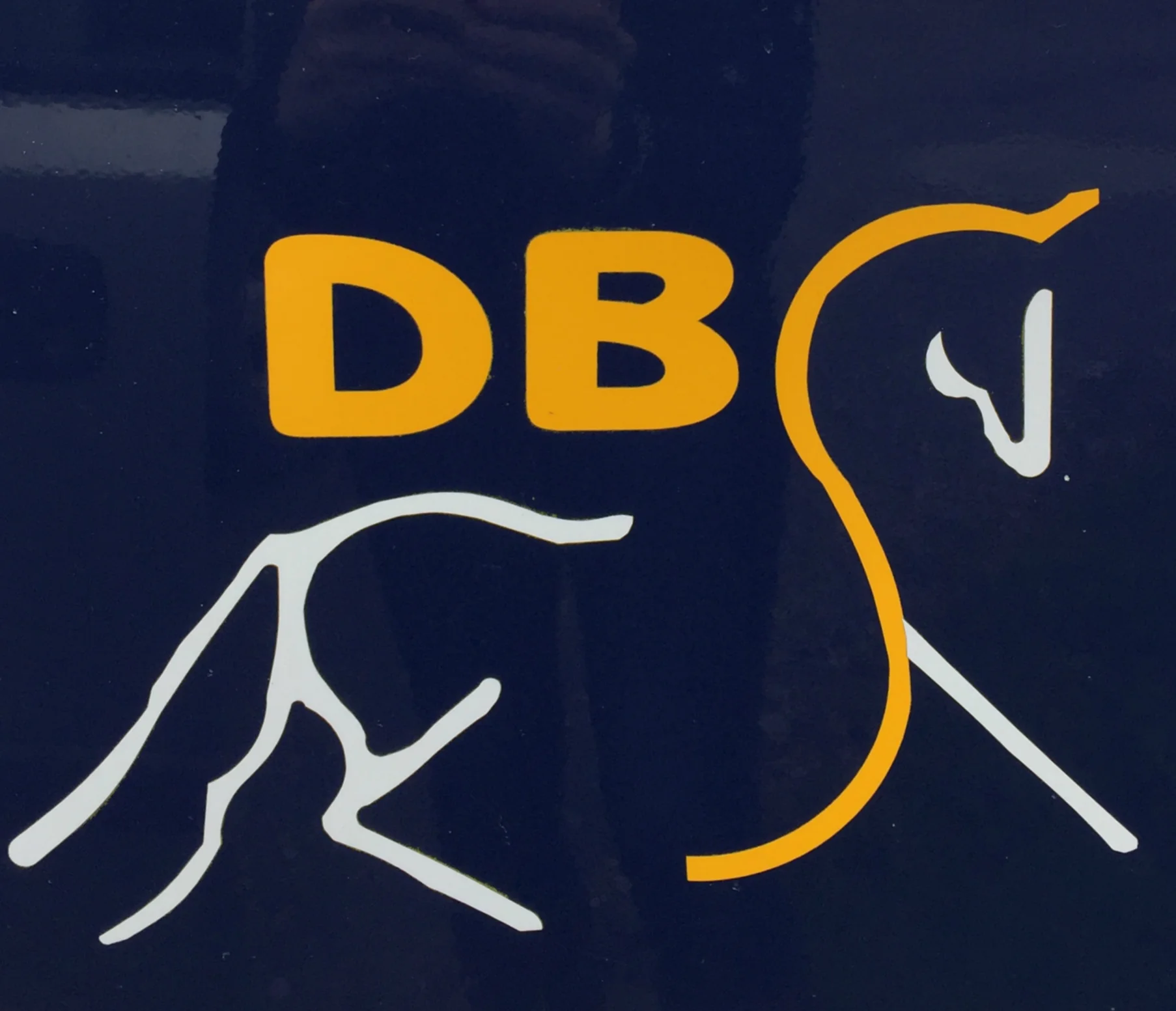 Working pupil position with accommodation for rider and horse available