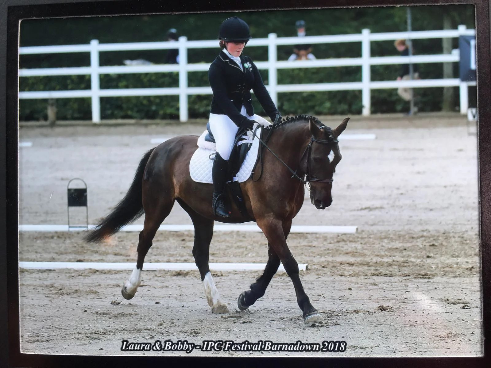 Pony Club Championships Success 