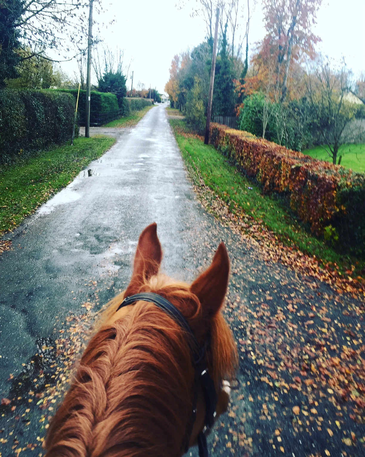 No Slacking November