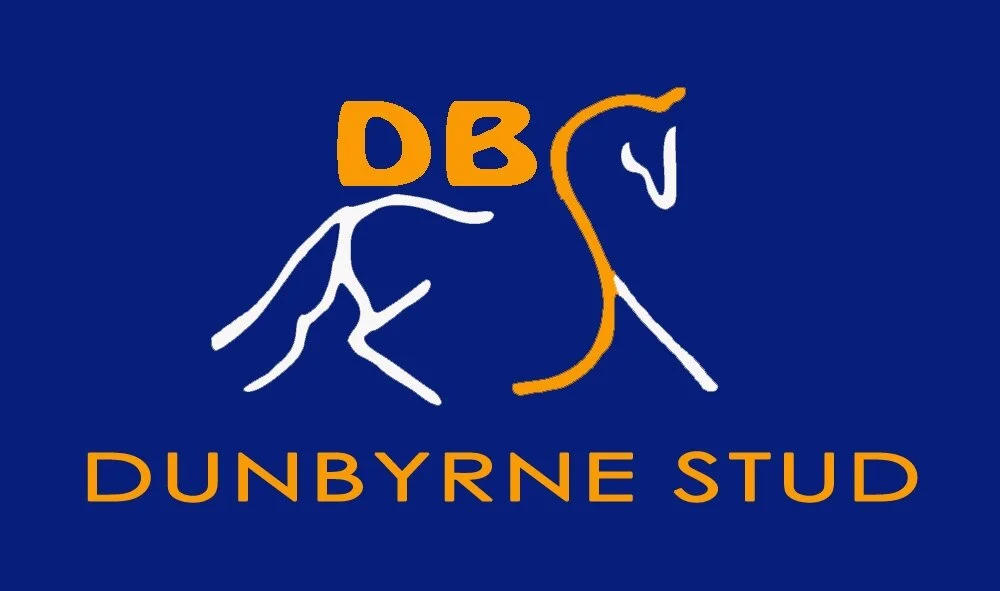 Looking for Livery? Ten reasons to join #teamdunbyrnestud