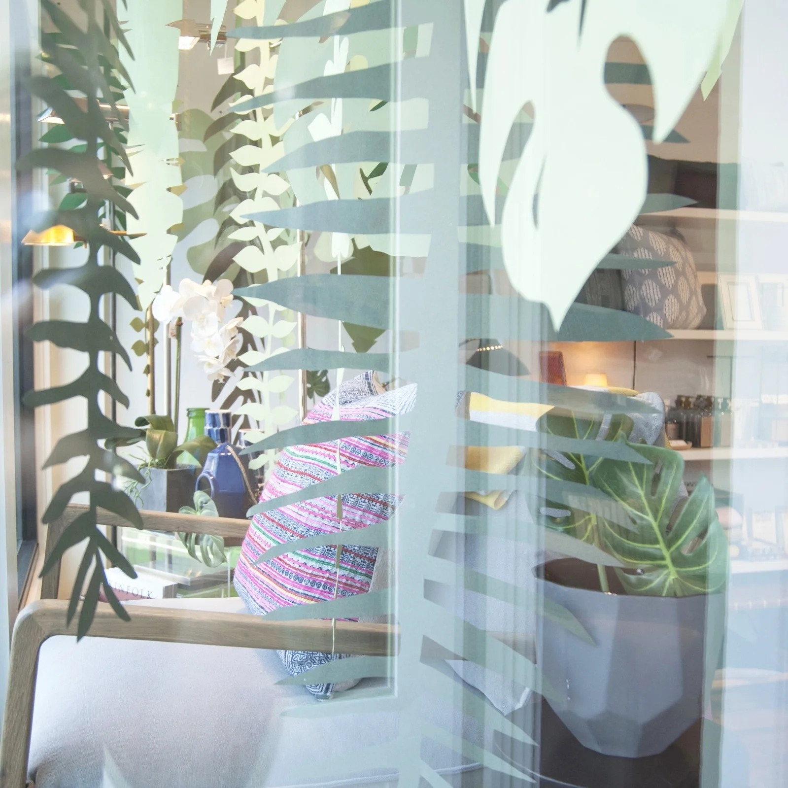 window outside looking in.jpg