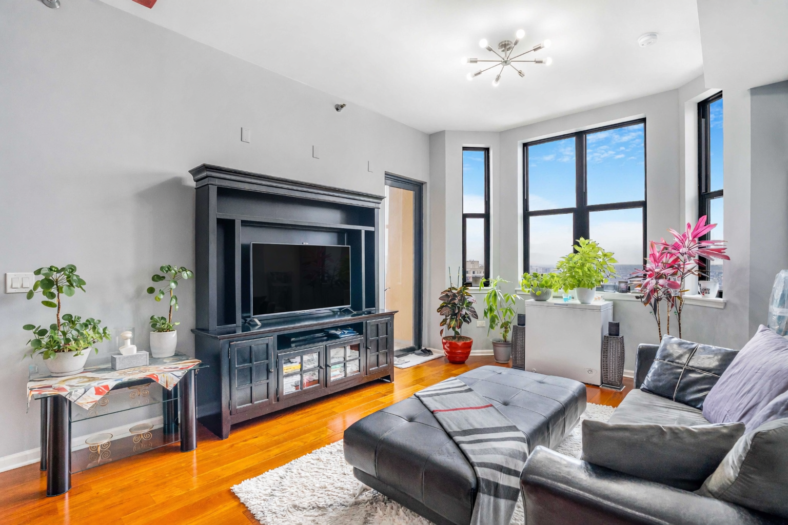 living edit 2 (1).png