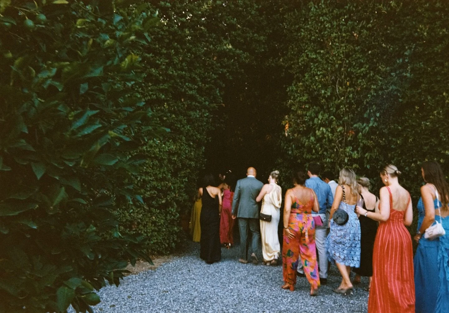 Where does it lead?

@villagrabau @confettiacolazione