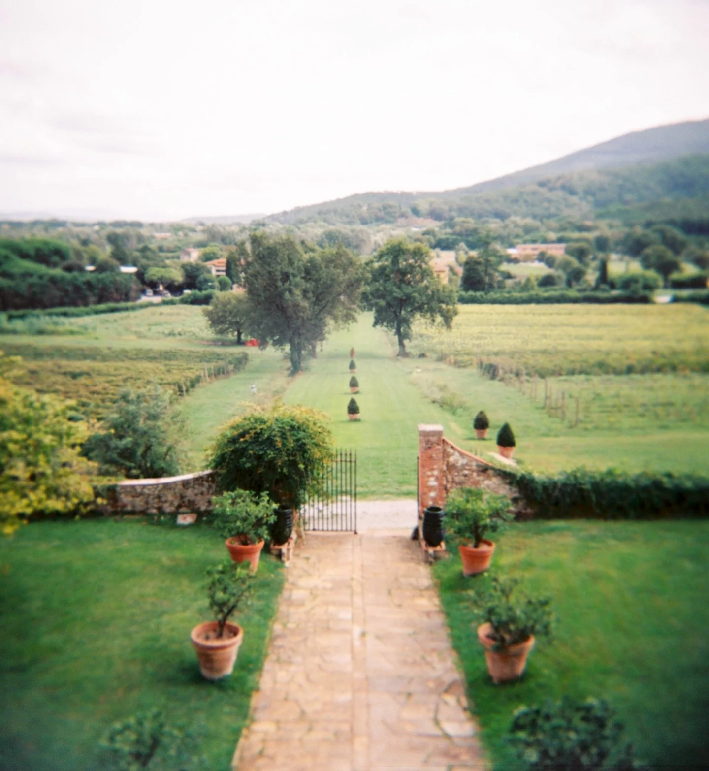 Rehearsal dinner with Saige and Nels at @villabuonvisi ❤️