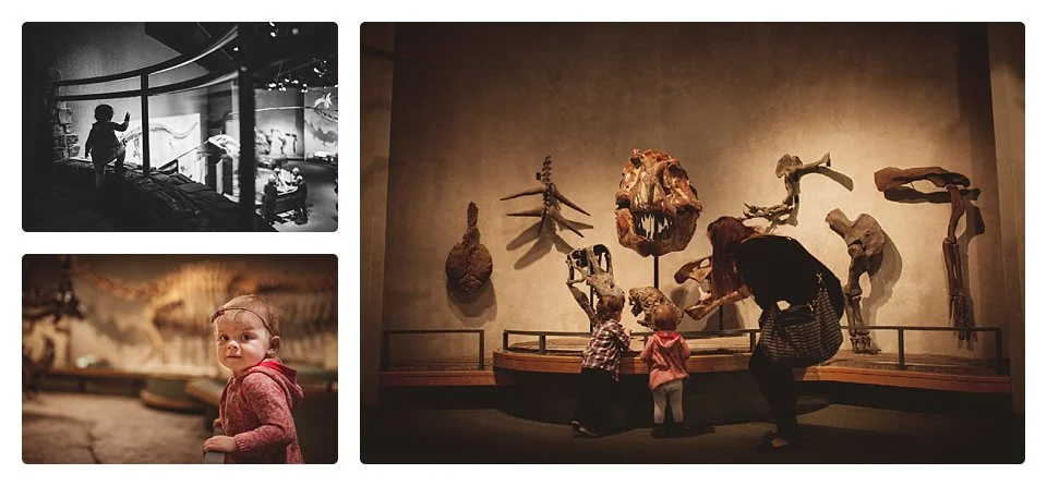 exploration in childhood lifestyle photography in denver