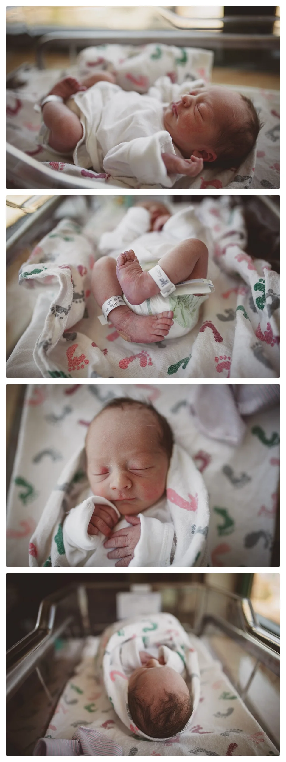 newborn fresh 48 denver photography