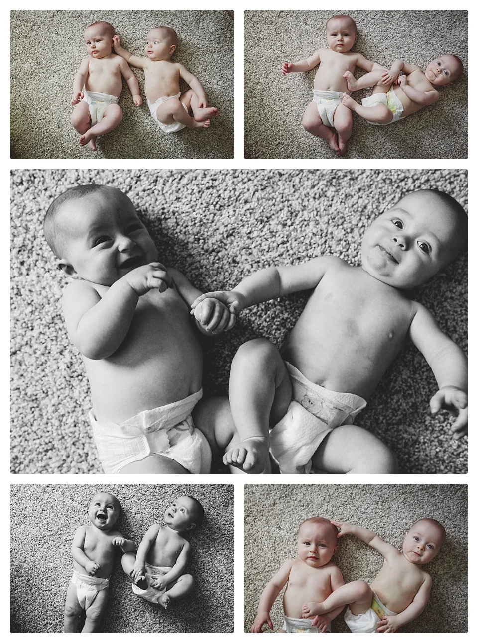 twin baby photography