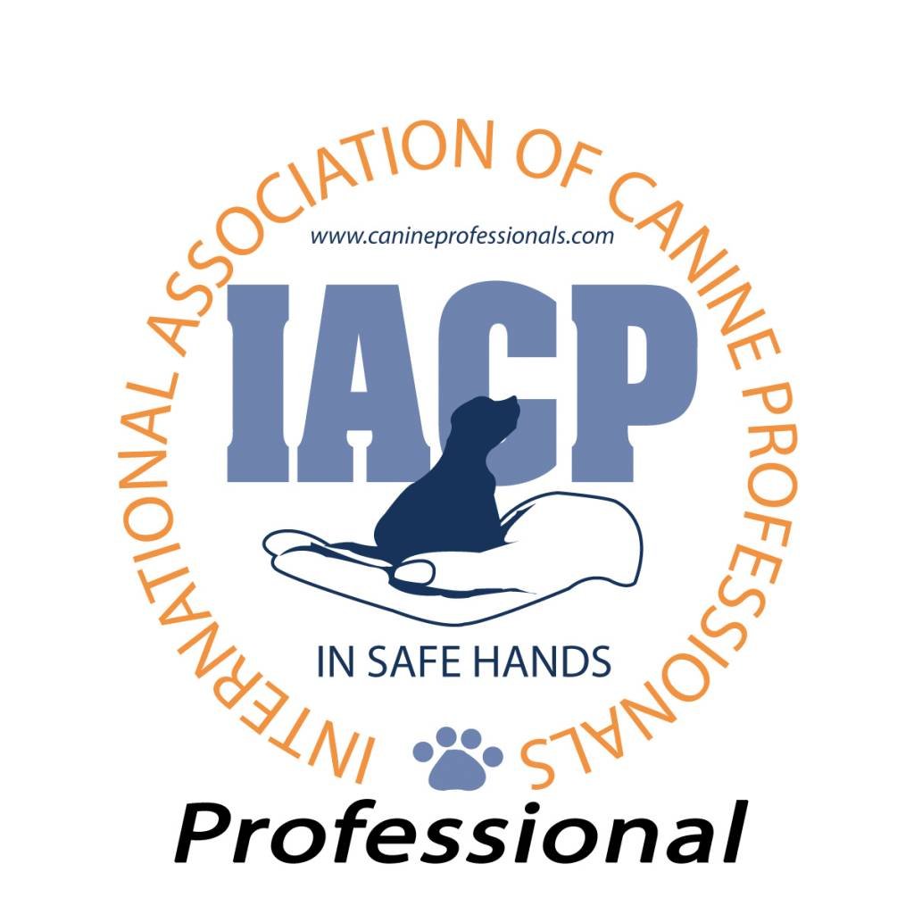 iacp-logo-1024x1024.jpg