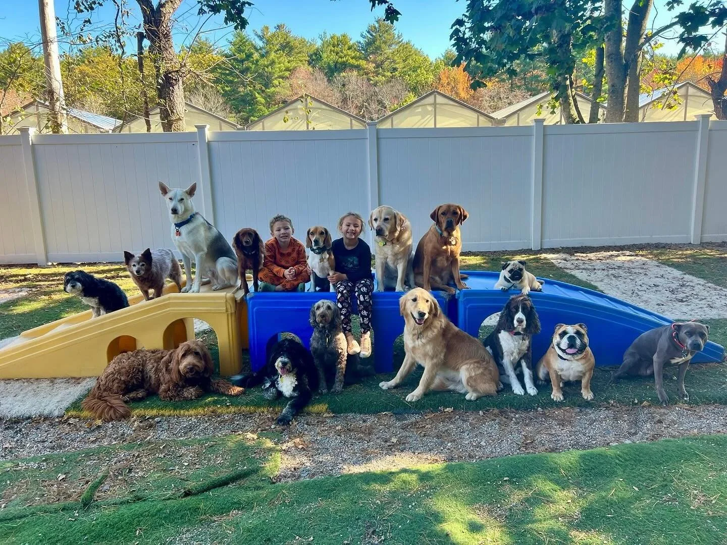 🐶🐾

Athena and Aries had a great time with the daycare and boarding pack last week 🤩😎 Wishing everyone a great week! #shesakeeperdogtraining