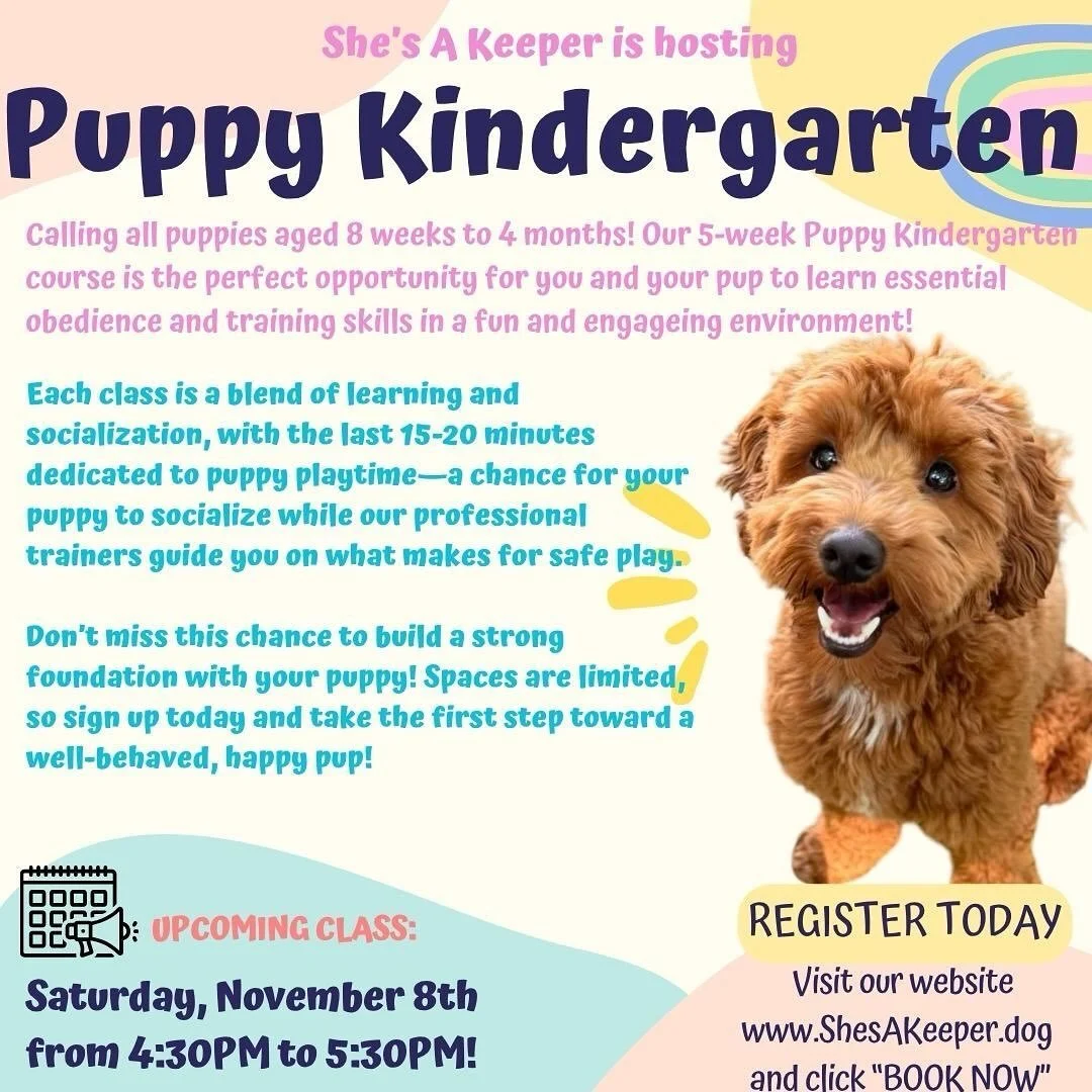 🐾Ready to give your pup the best start?Join our upcoming Puppy Kindergarten class! 🐶 Socialize, learn &amp; have fun with other friends! 

Email us for more information and secure your spot today! #dogtraining #puppykindergarten #shesakeeperdog