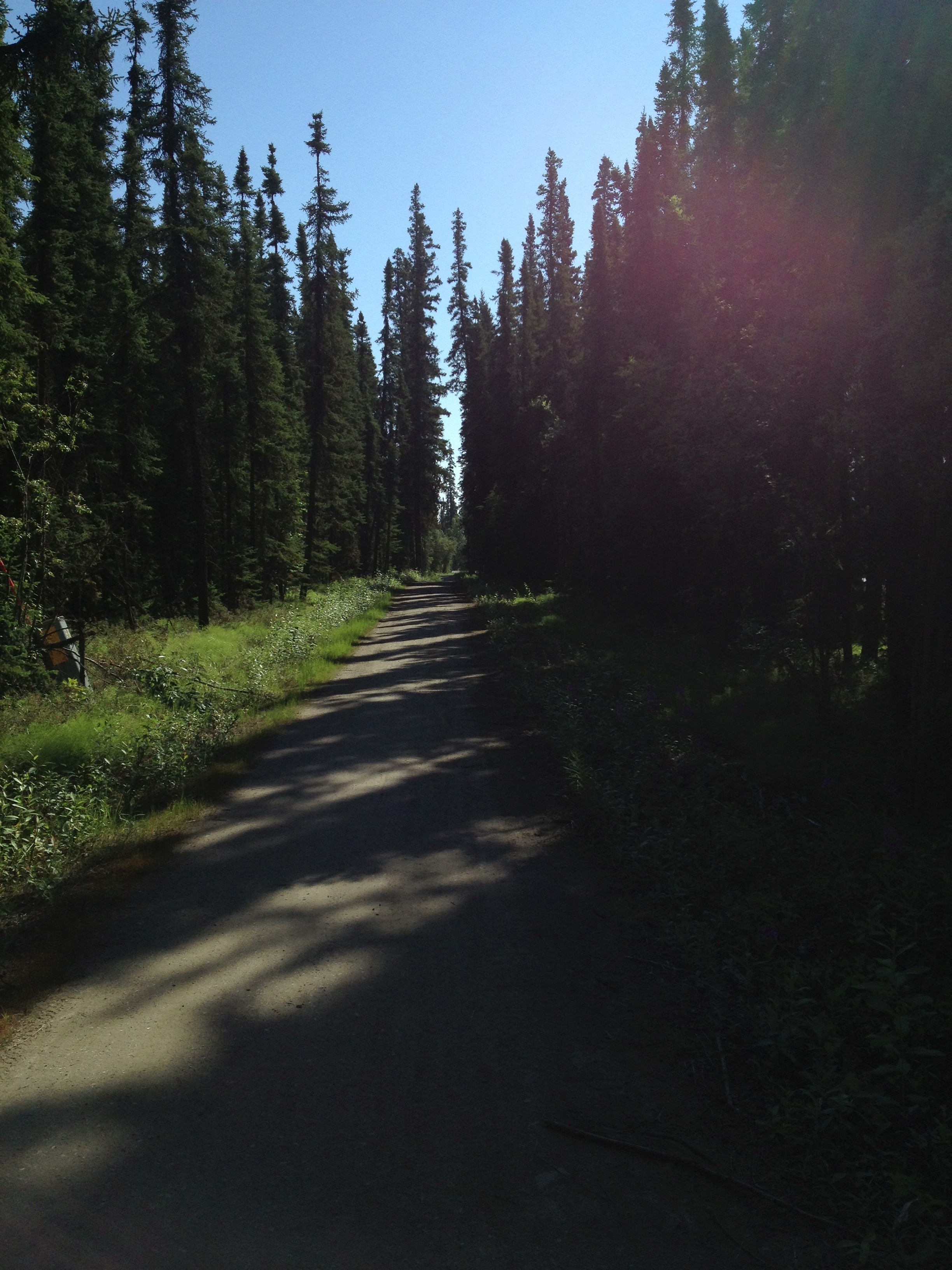 The Same Trail (2016)