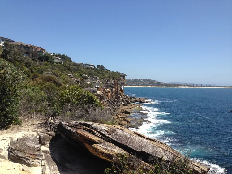 A short nature walk yesterday along the cliffs on the way to the beach
