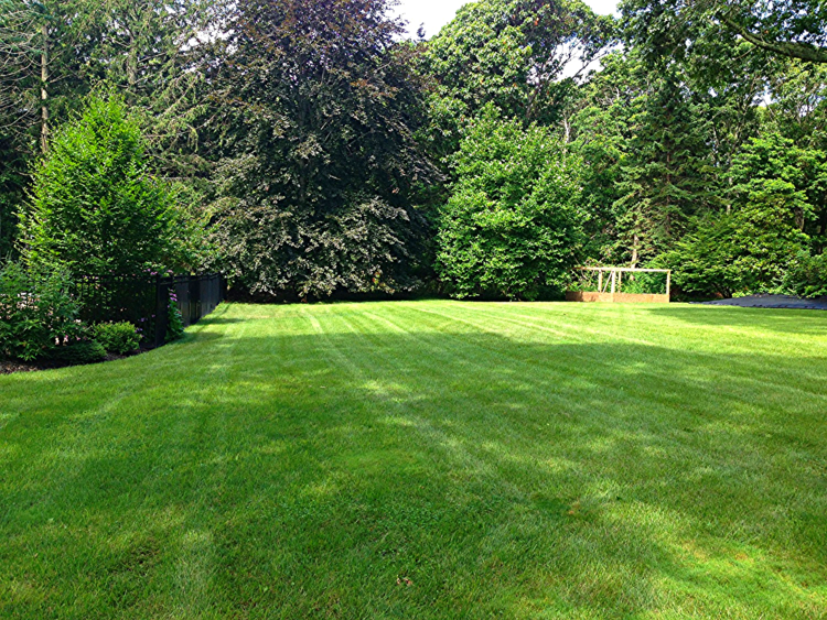 Part of the western portion of our property - nearly invisible from inside the house