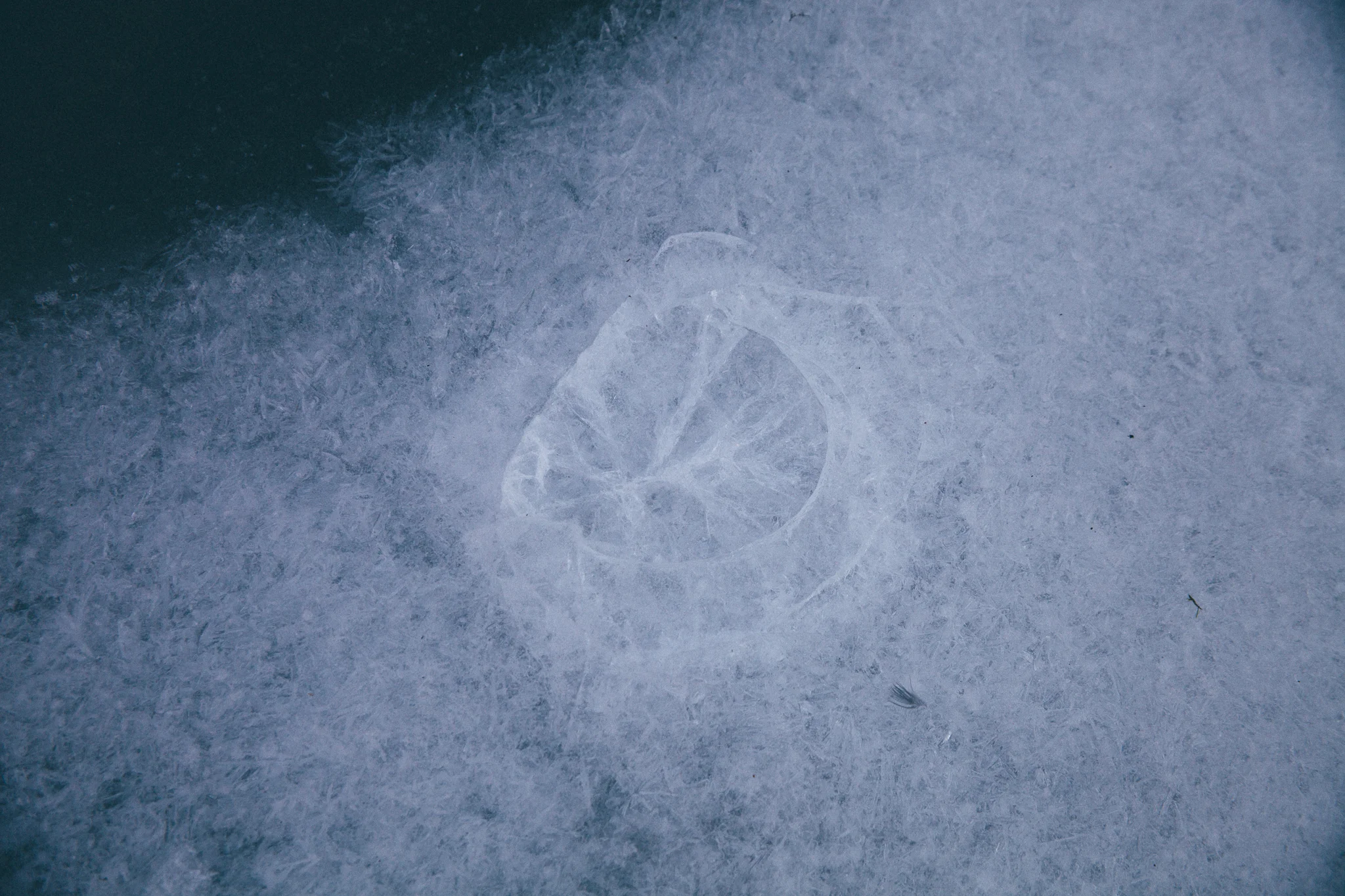 Luckily the ice was no match for my good old 5D! Not a scratch on it!
