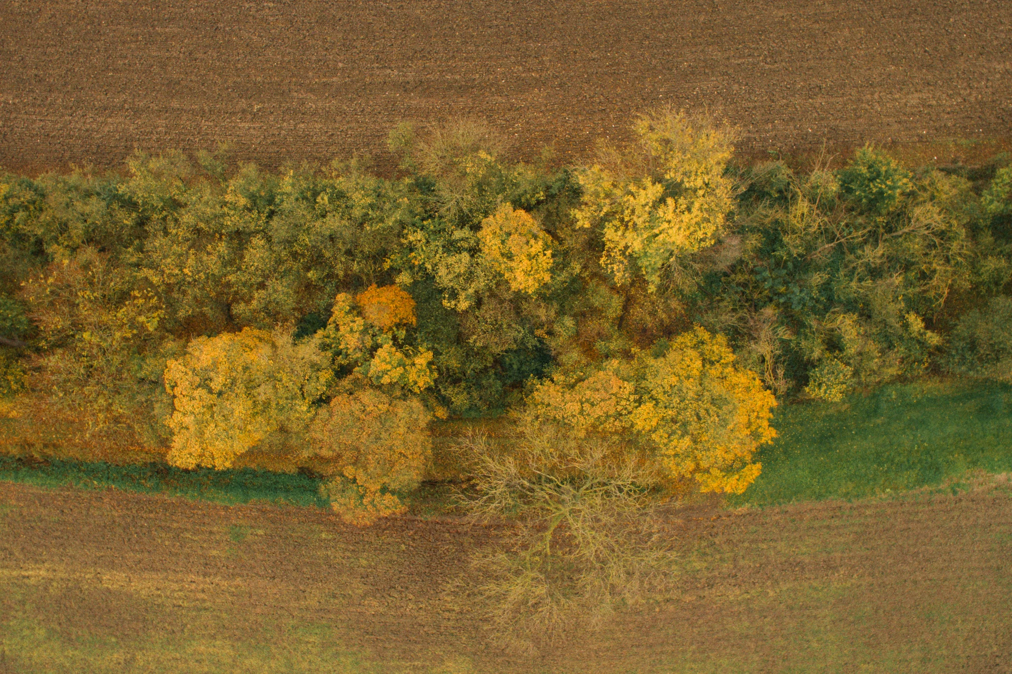 Drone_0001.jpg