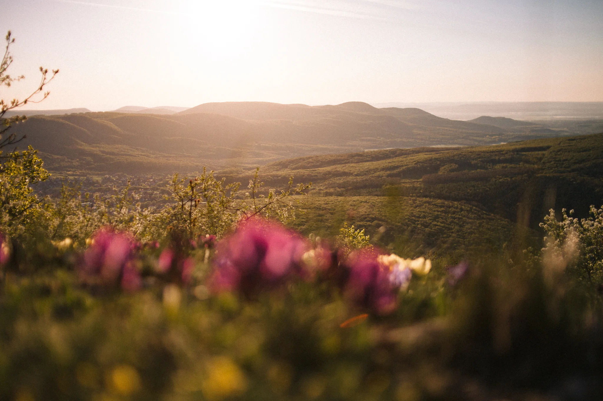Wildcamping_0048.jpg