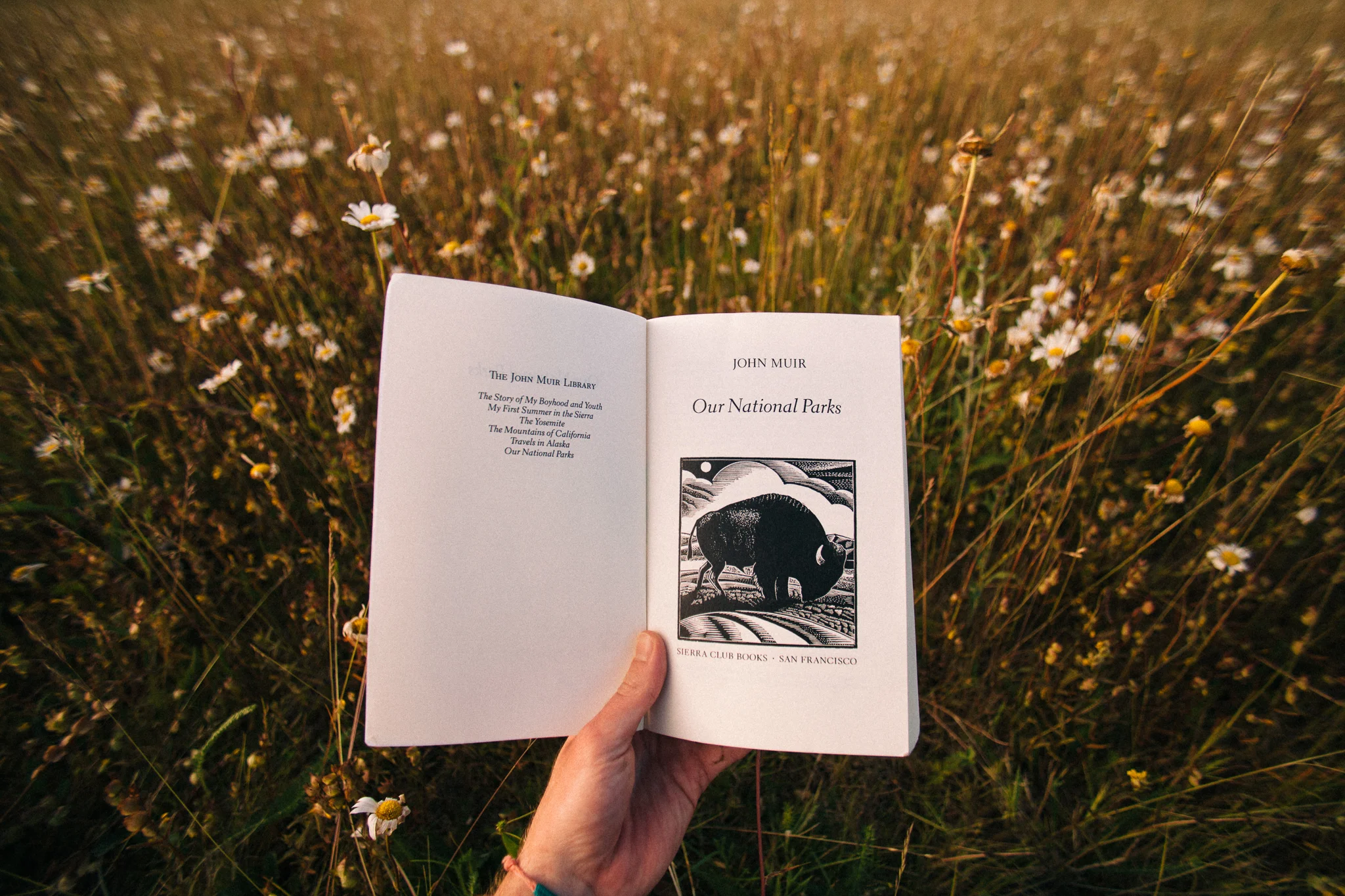 JohnMuir_0002.jpg