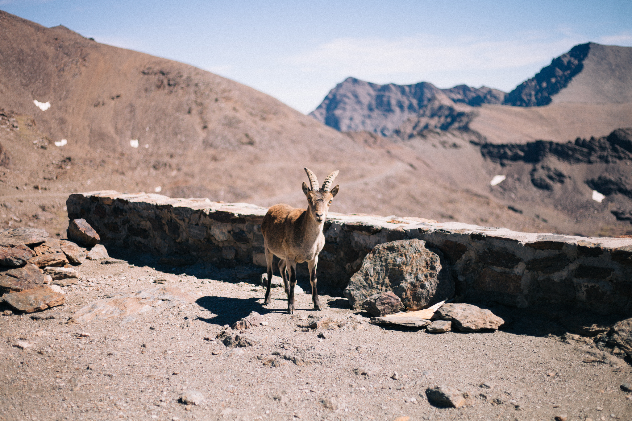 SierraNevada_Veleta_0018.jpg