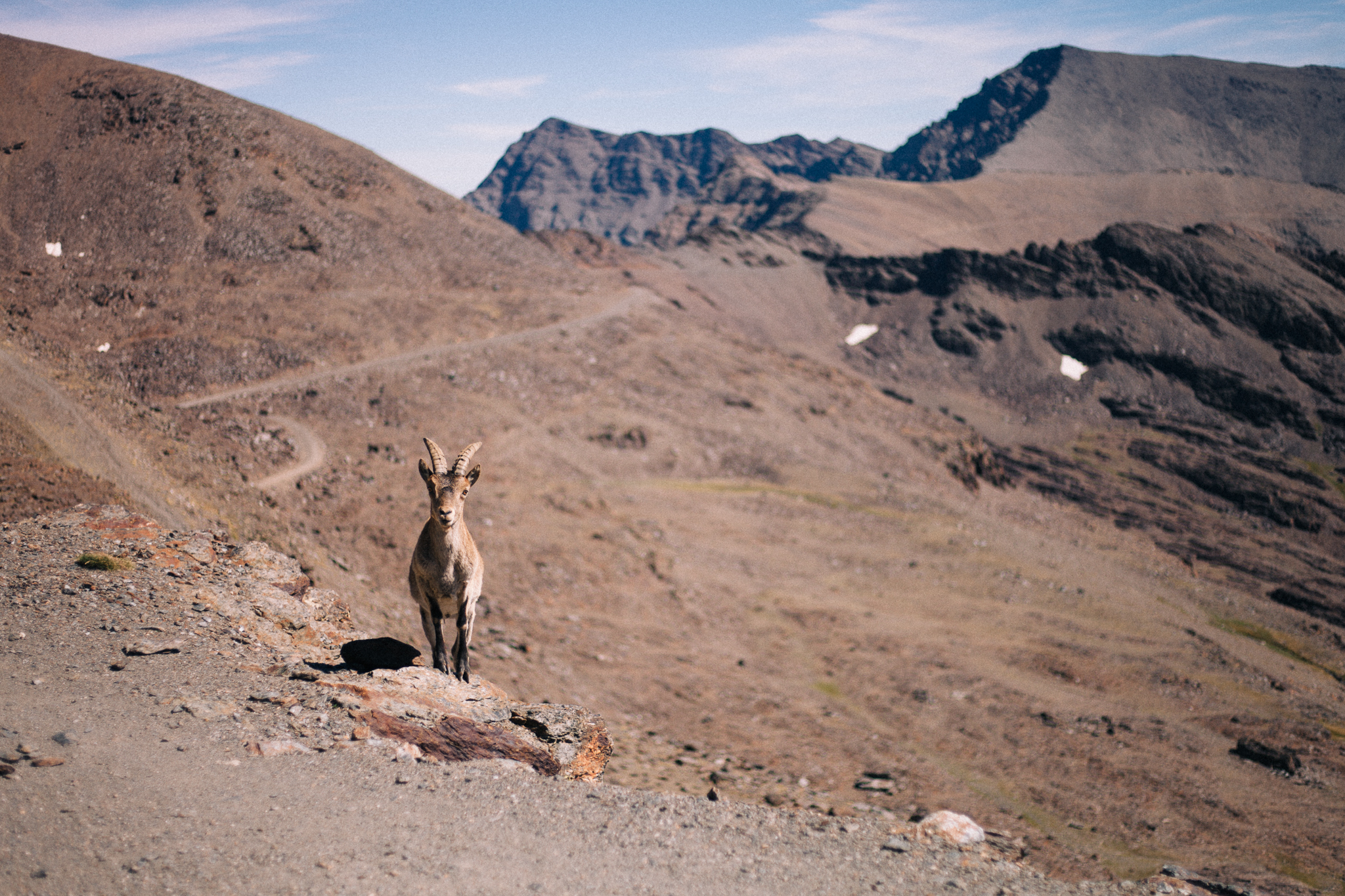 SierraNevada_Veleta_0023.jpg