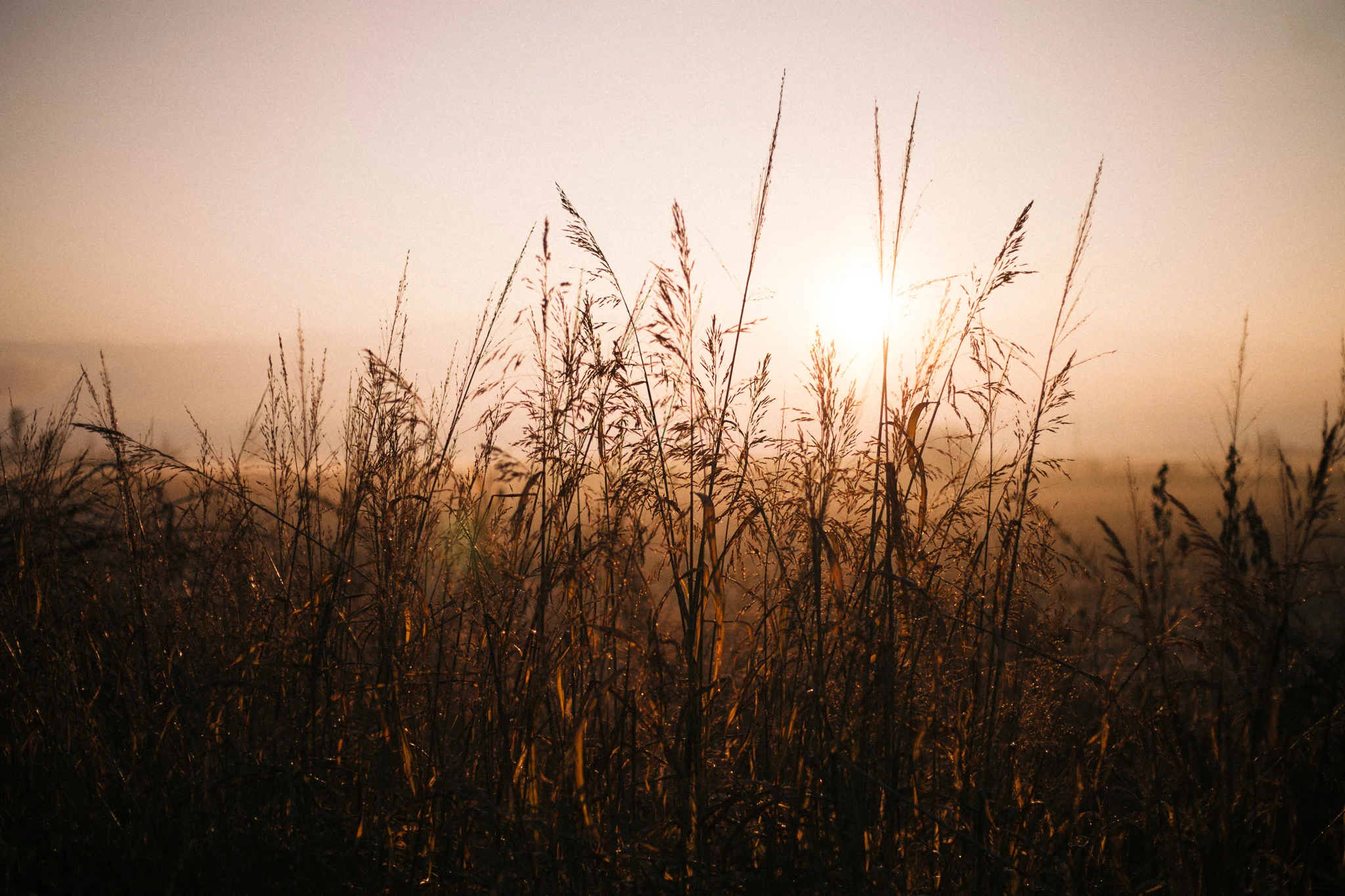 Sunrise in the middle of nowhere…