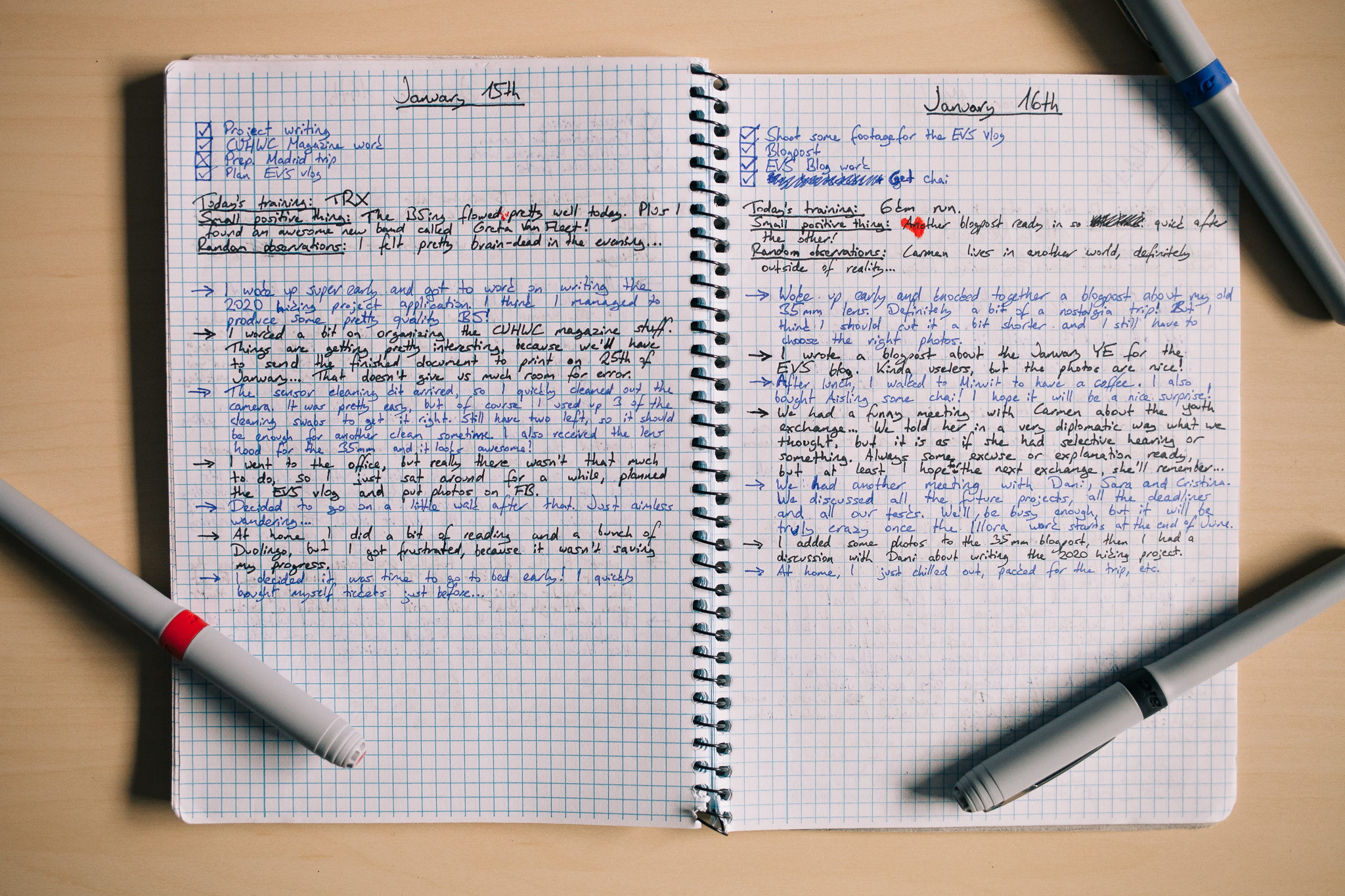 Here are two pages from my older journal
