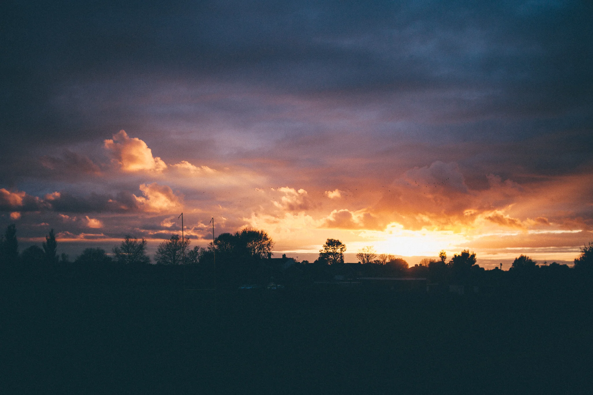AislingInCambridge_0021.jpg