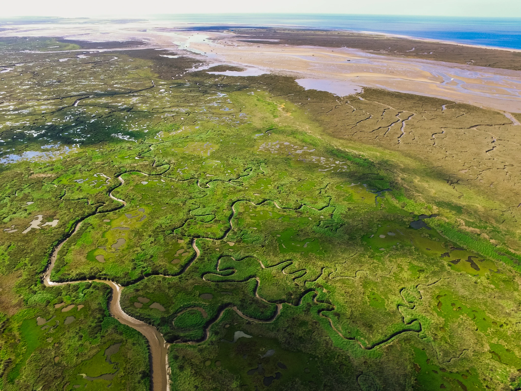 NorfolkSurvey_0010.jpg