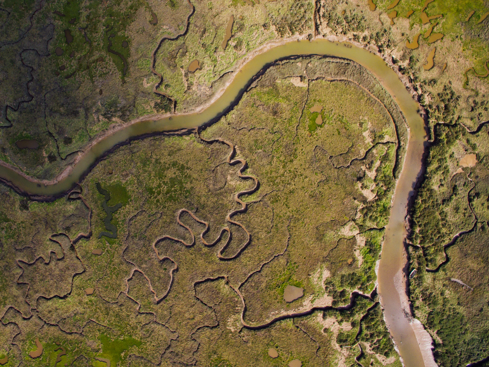 NorfolkSurvey_0016.jpg