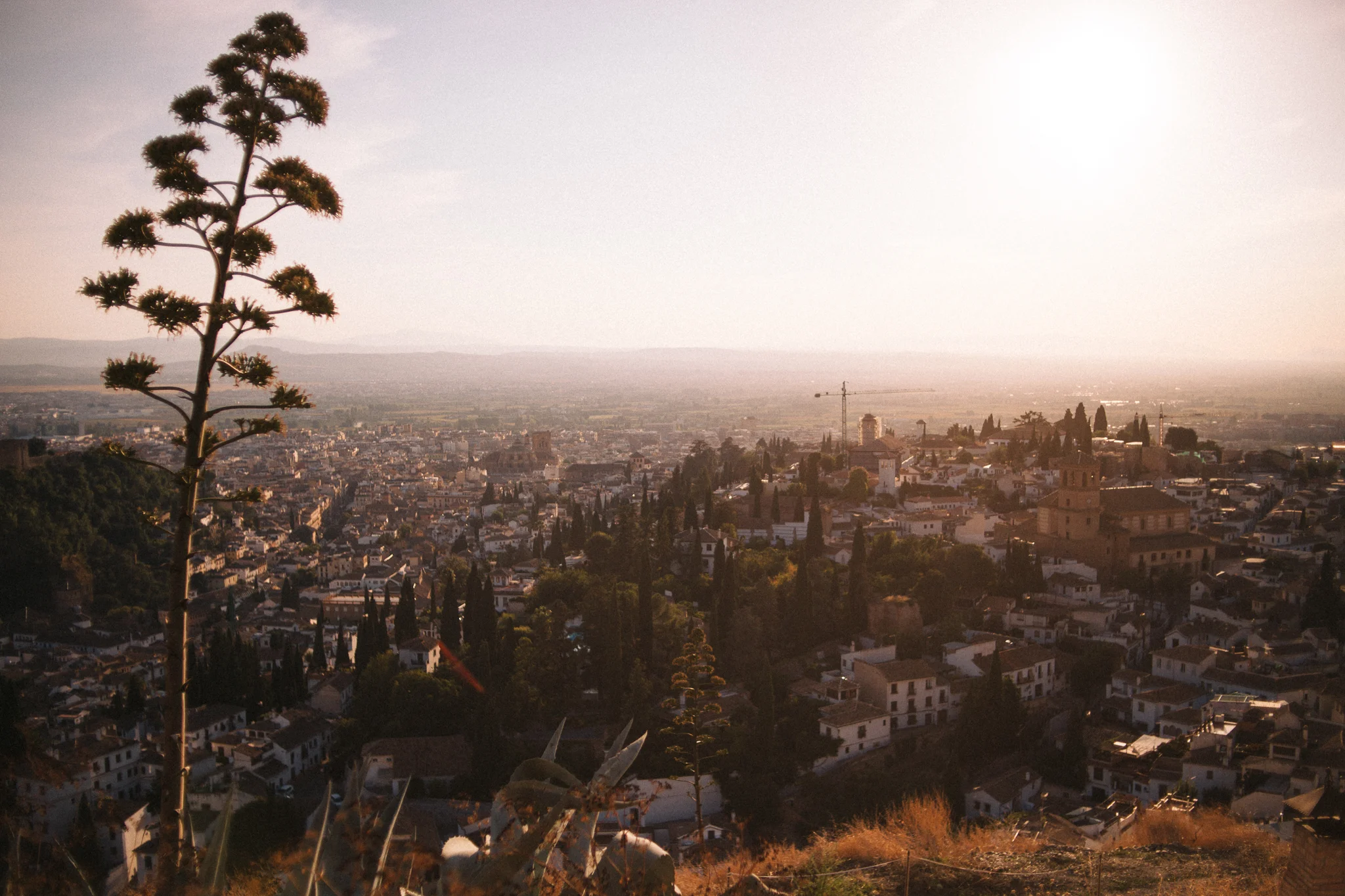 Granada, my favorite city!